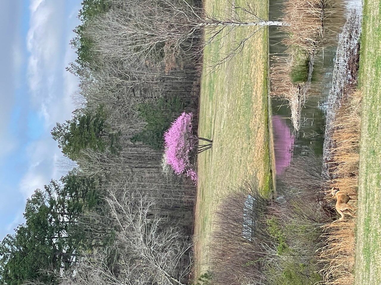 Mena, Arkansas, 71953, United States, 3 Bedrooms Bedrooms, ,3 BathroomsBathrooms,Residential,For Sale,1979119