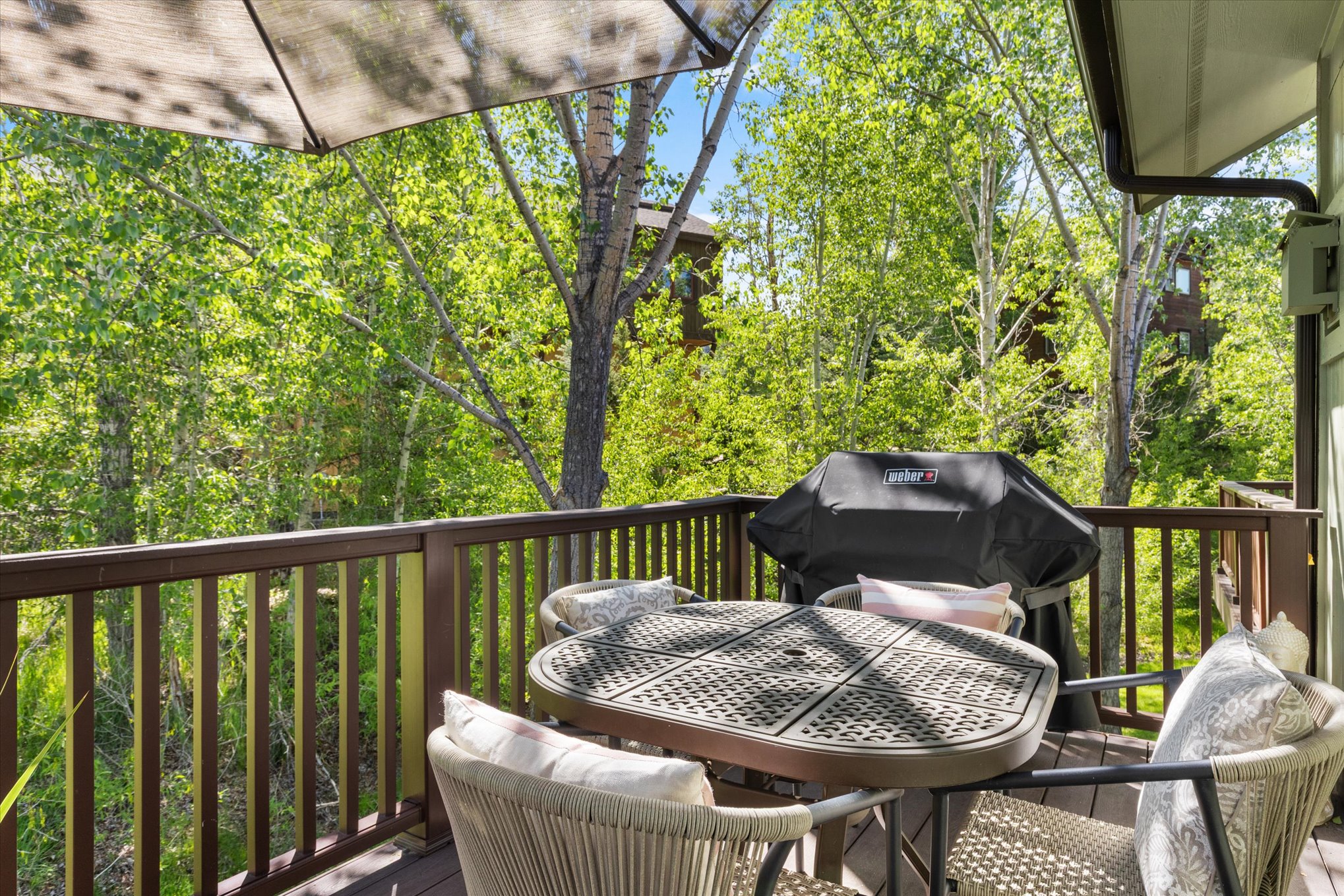  3358 Covey Circle, Steamboat Springs, CO 80487 - 物件實景