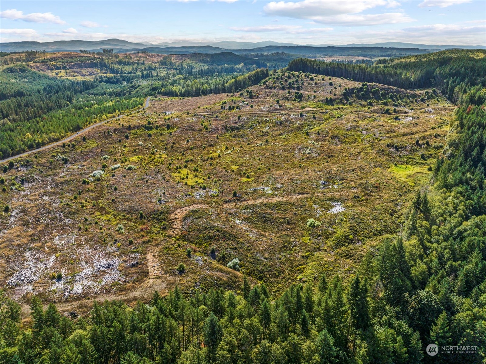 0 Salmon Creek Road, Toledo, Washington, 98591, United States, ,Land,For Sale,0 Salmon Creek Road,1445905