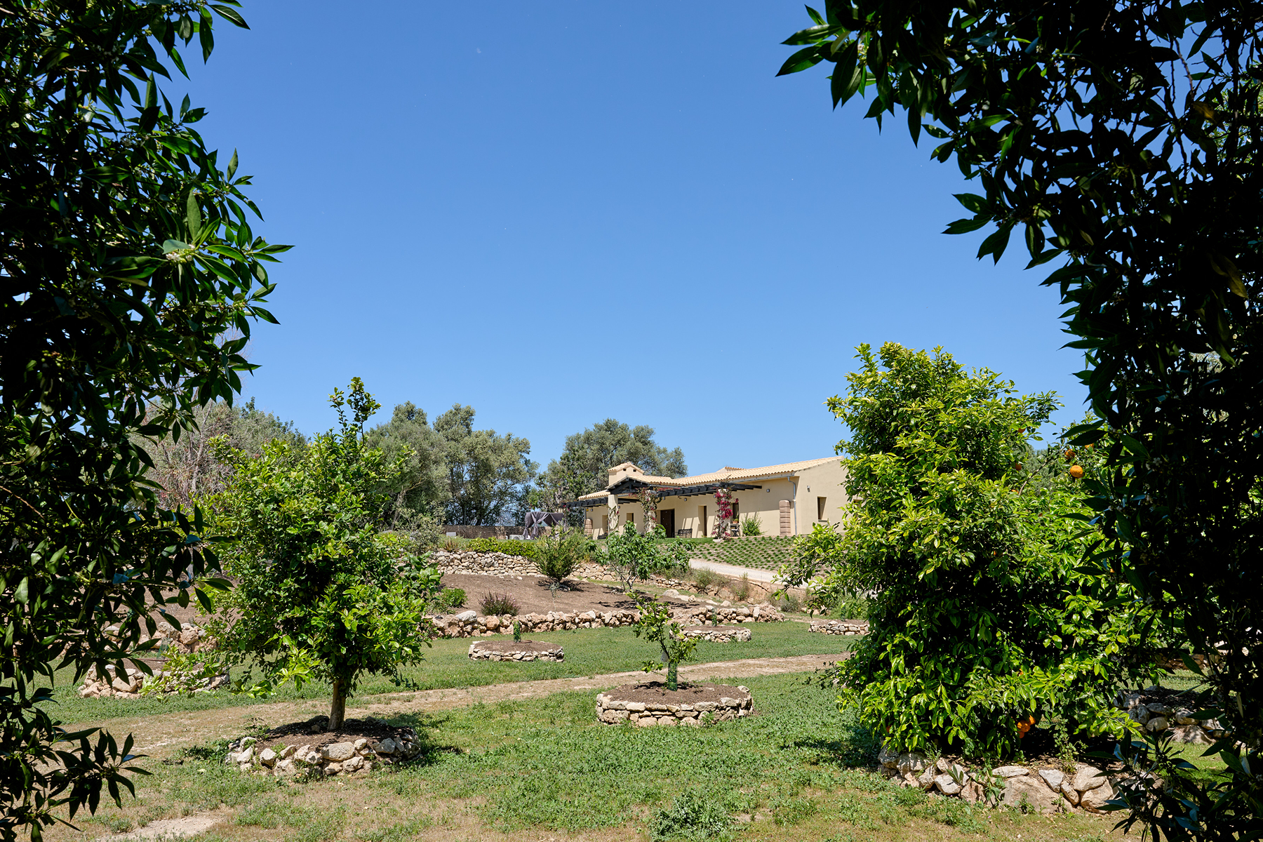  Eco-friendly estate with pool in Marratxí - 物件實景