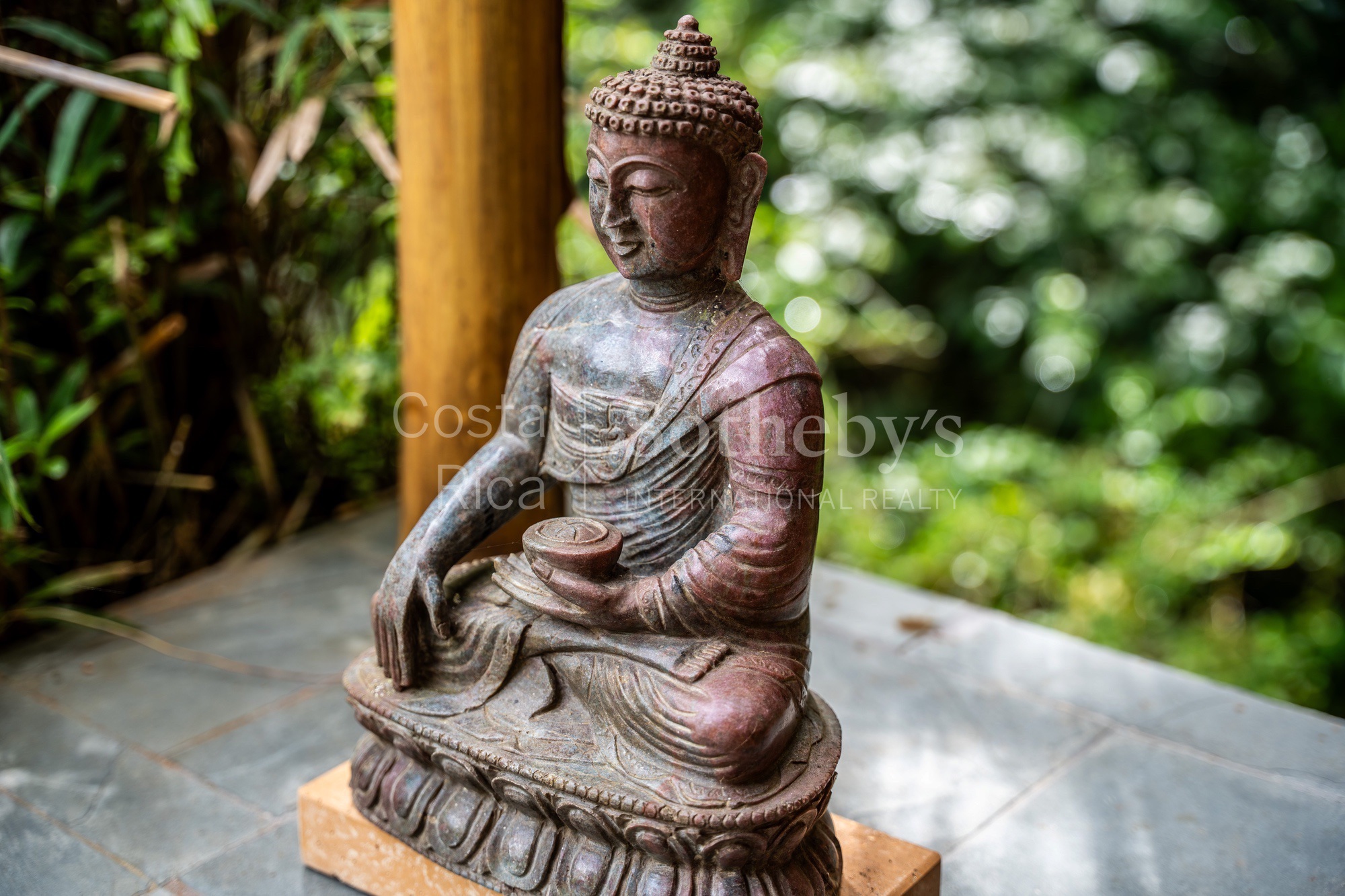  Dominical Yoga Retreat and Nature Reserve - 物件實景