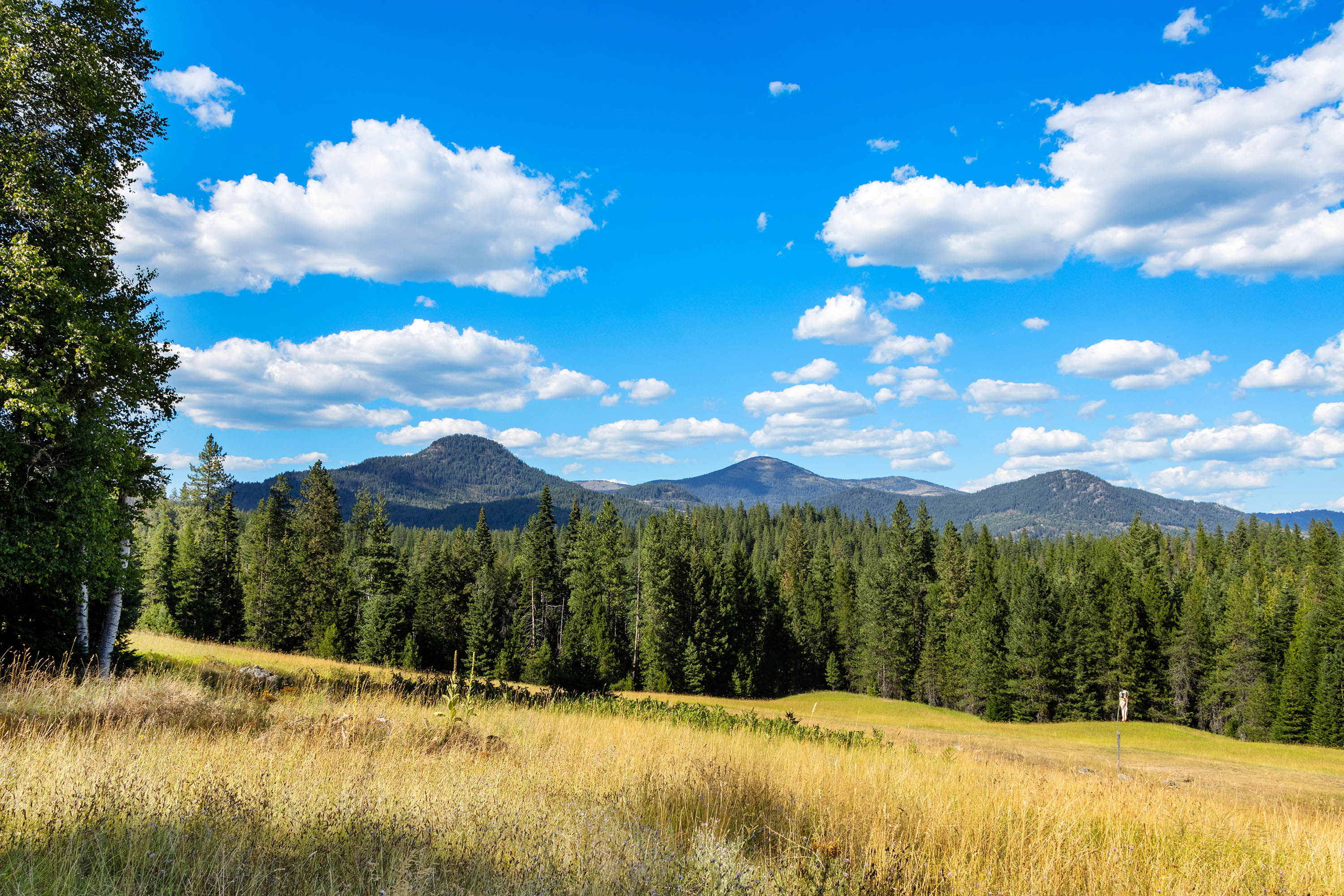 Sandpoint, Idaho, 83864, United States, 3 Bedrooms Bedrooms, ,3 BathroomsBathrooms,Residential,For Sale,1922040