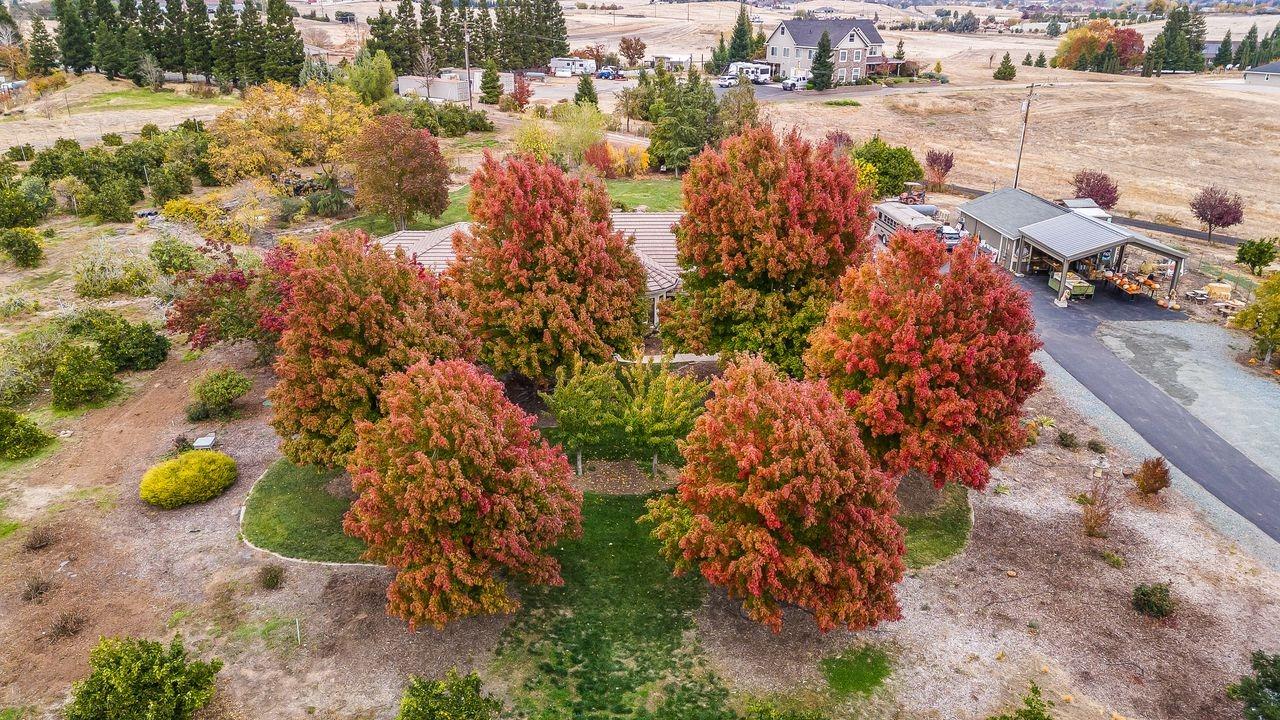 13751 SE Indio Drive, Sloughhouse, California, 95683, United States, 3 Bedrooms Bedrooms, ,3 BathroomsBathrooms,Residential,For Sale,13751 SE Indio Drive,1668295