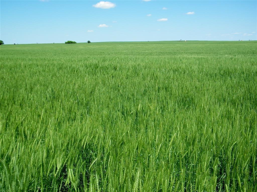 Kingfisher, Oklahoma, 73750, United States, ,Residential,For Sale,1982828