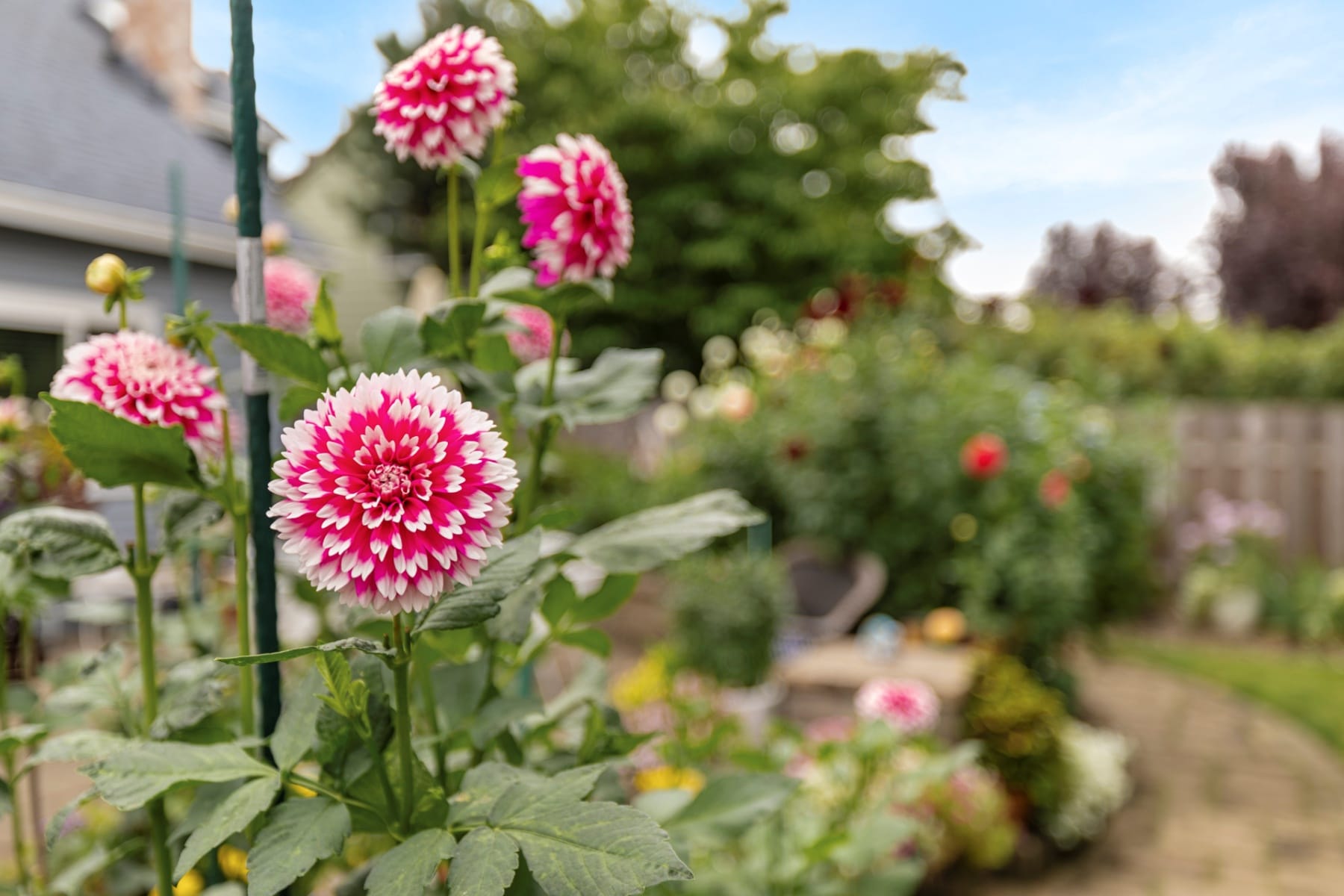  2745 NE KELLY PL Gresham, OR 97030 - 物件實景