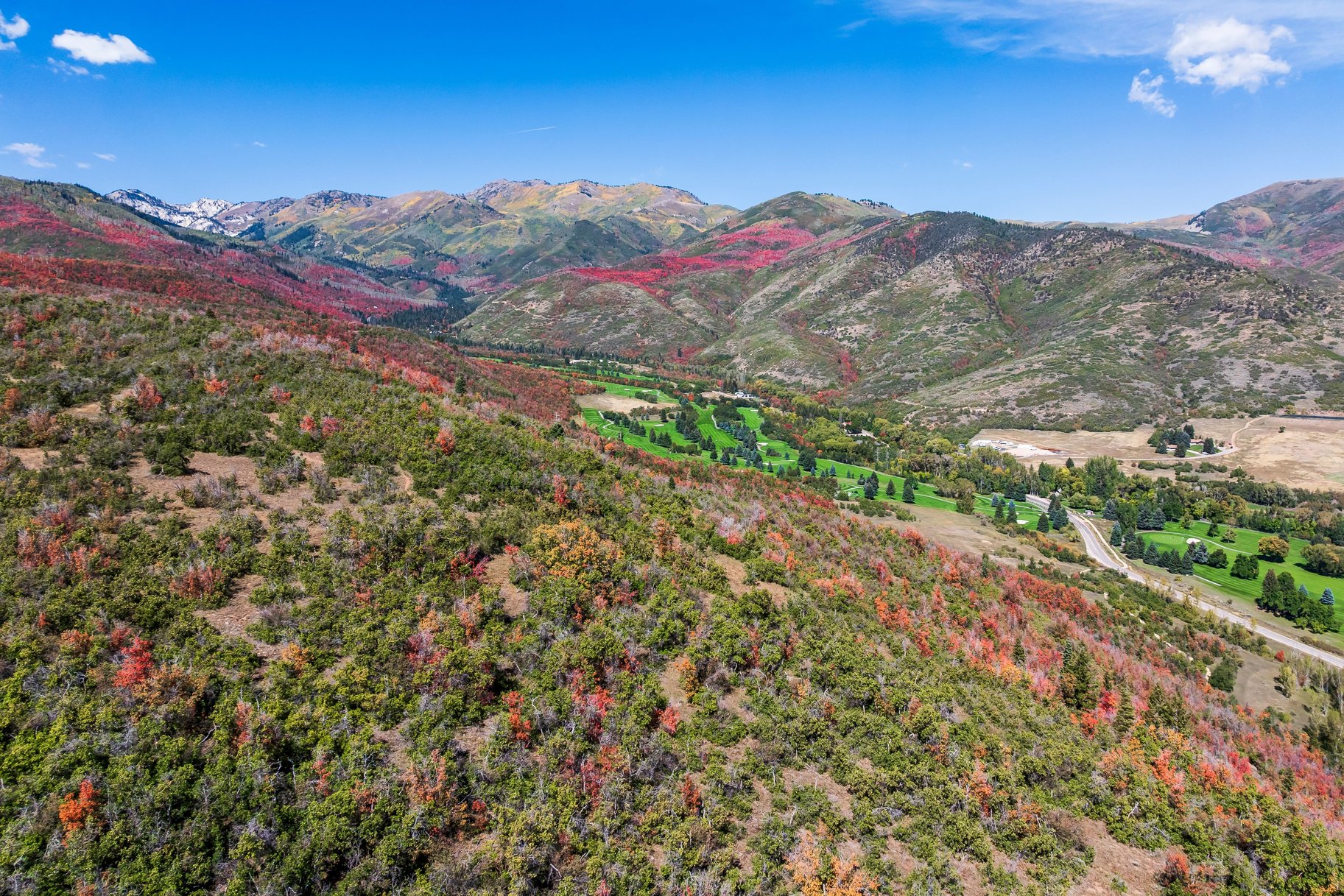  Unobstructed Panoramic Views on this 15+ Acre Homesite with No CCRs - 物件實景