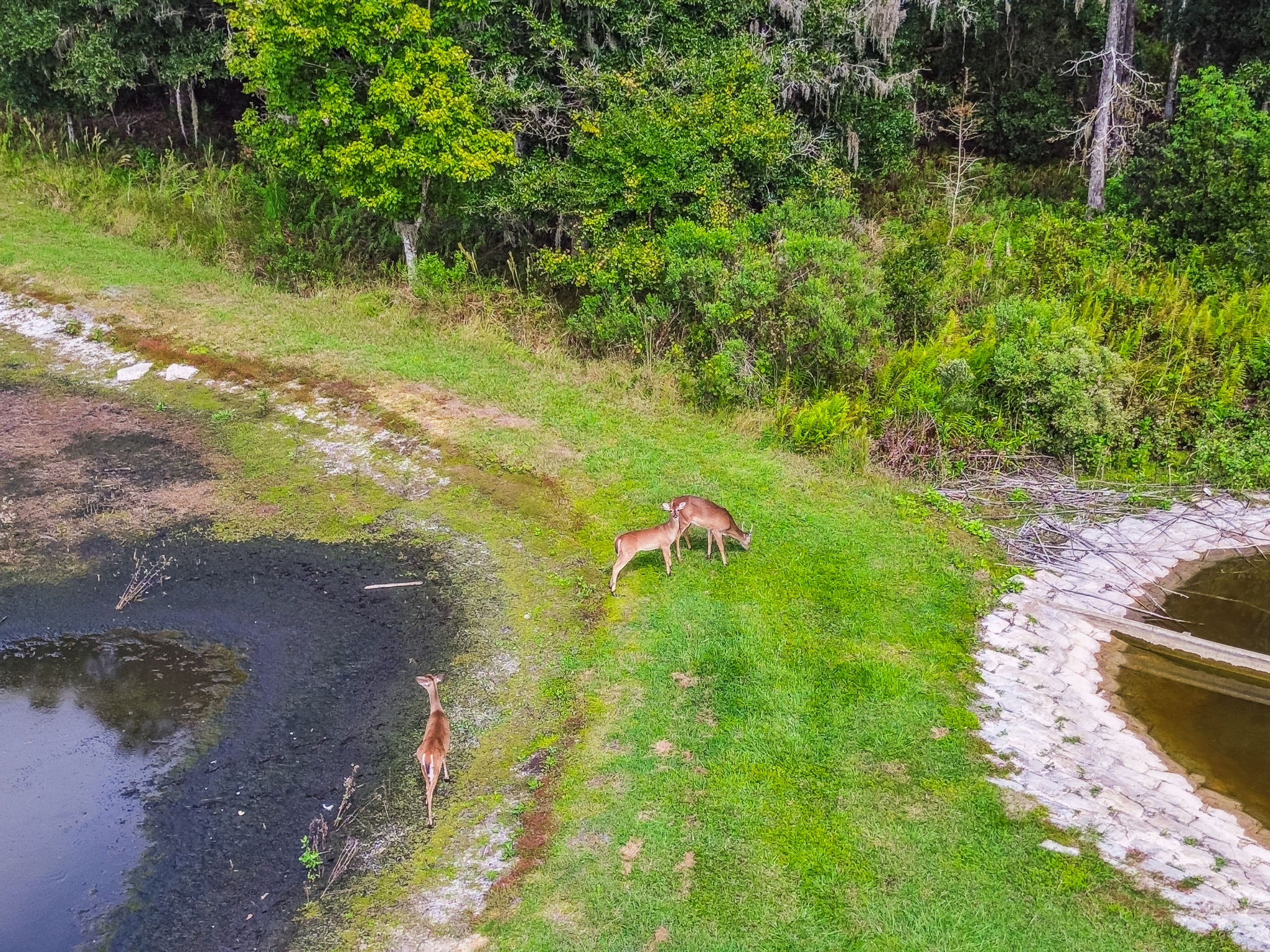 New Port Richey, Florida, 34655, United States, 6 Bedrooms Bedrooms, ,4 BathroomsBathrooms,Residential,For Sale,1980137
