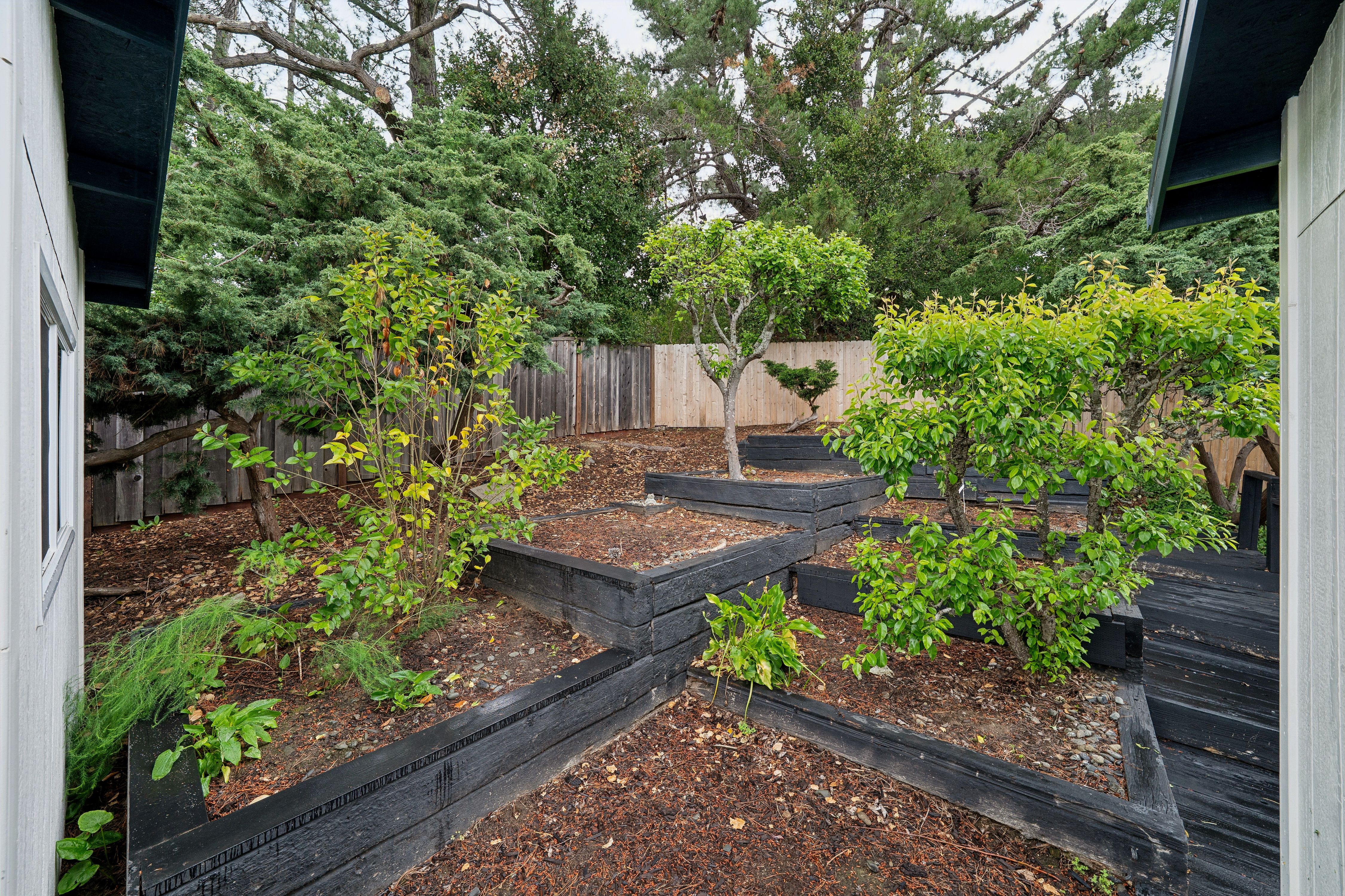  Contemporary San Mateo Single Story Remodeled in 2023 - 物件實景