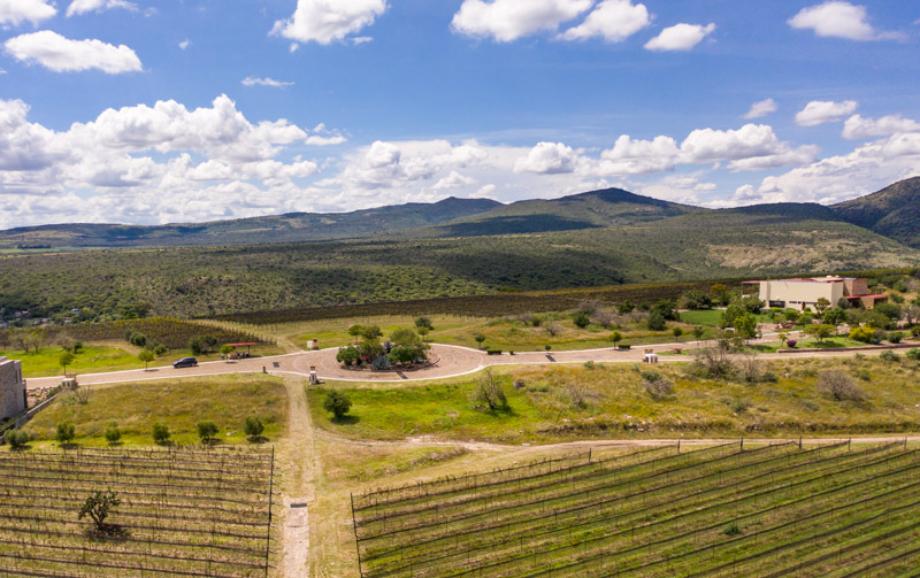Malbec, San Miguel de Allende, Guanajuato, 37898, Mexico, 1 Bedroom Bedrooms, ,Residential,For Sale,Malbec,1443575