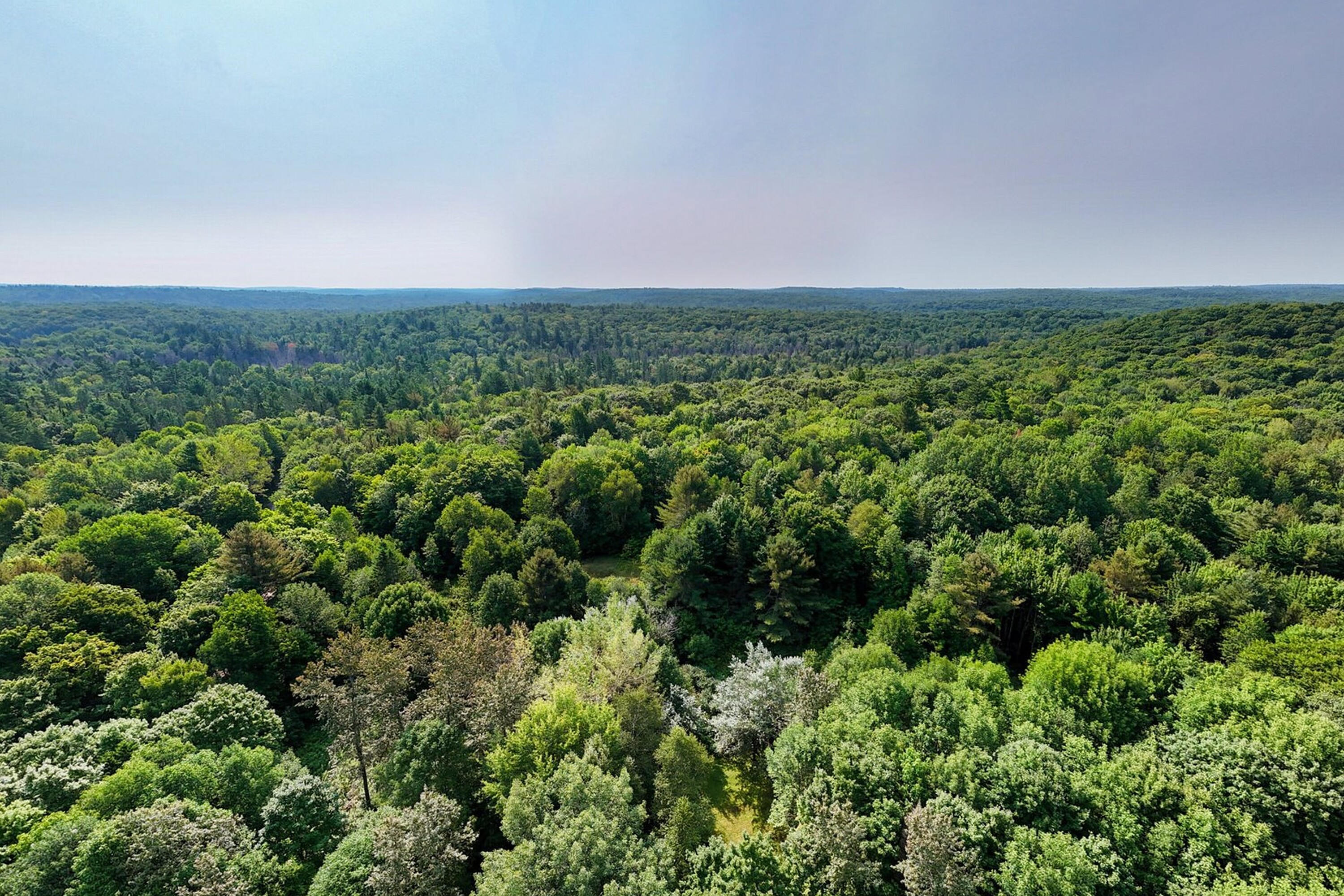  Pristine Lake of Bays Acreage - 物件實景
