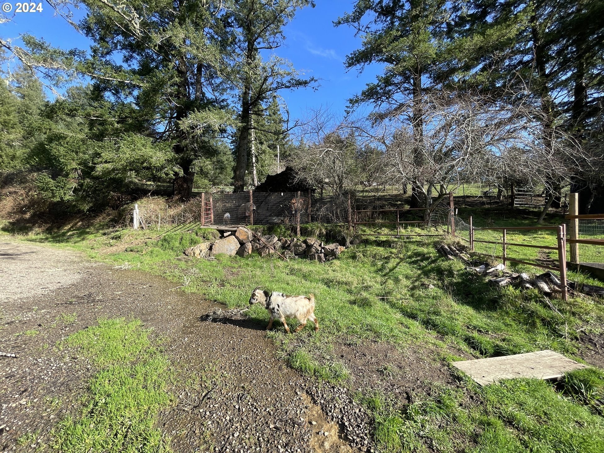 Brookings, Oregon, 97415, United States, 3 Bedrooms Bedrooms, ,2 BathroomsBathrooms,Residential,For Sale,1975918