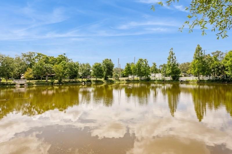 Dunedin, Florida, 34698, United States, 3 Bedrooms Bedrooms, ,2 BathroomsBathrooms,Residential,For Sale,1857306