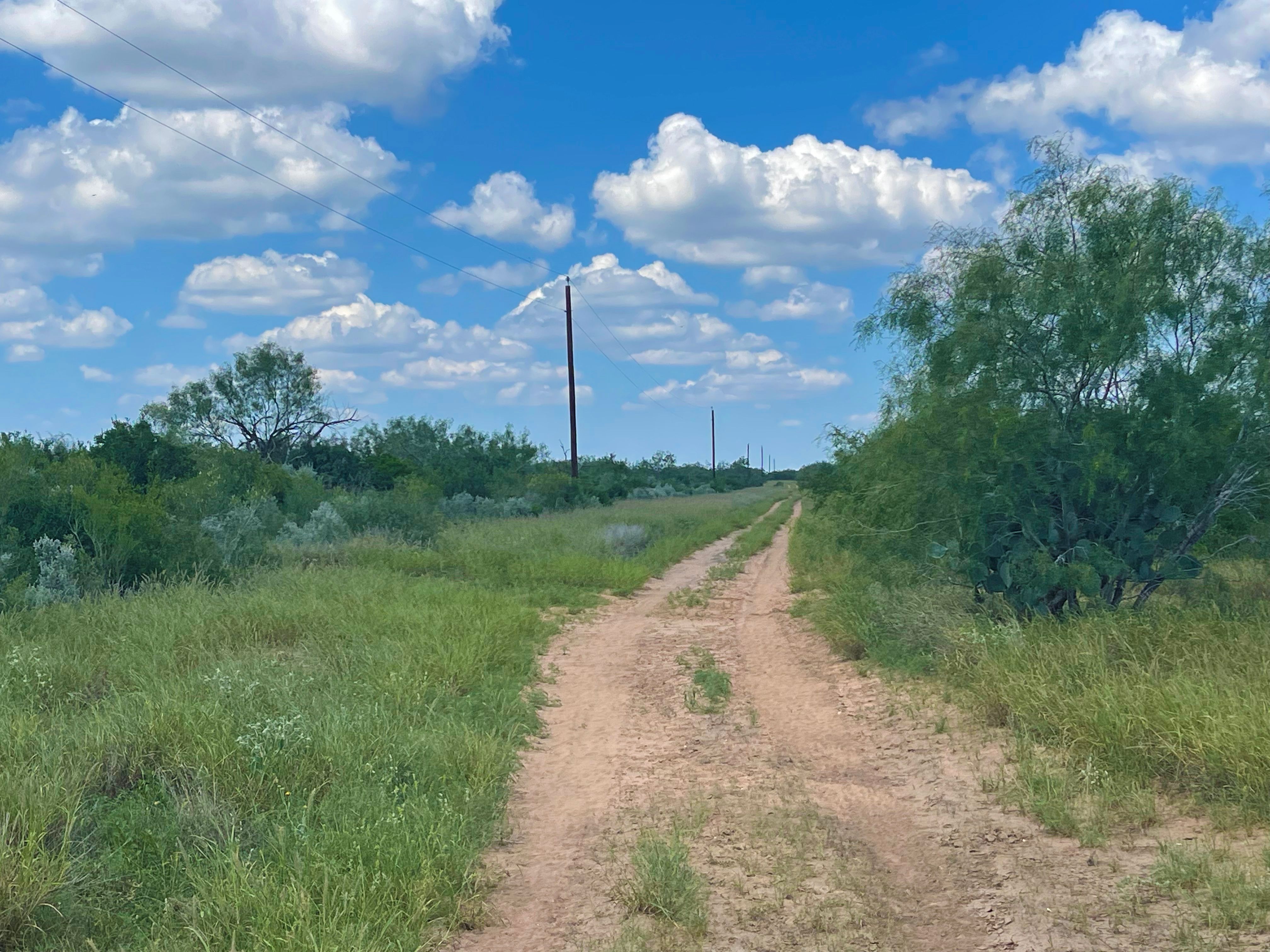  Historic El Tecomate Hunting Ranch - 物件實景