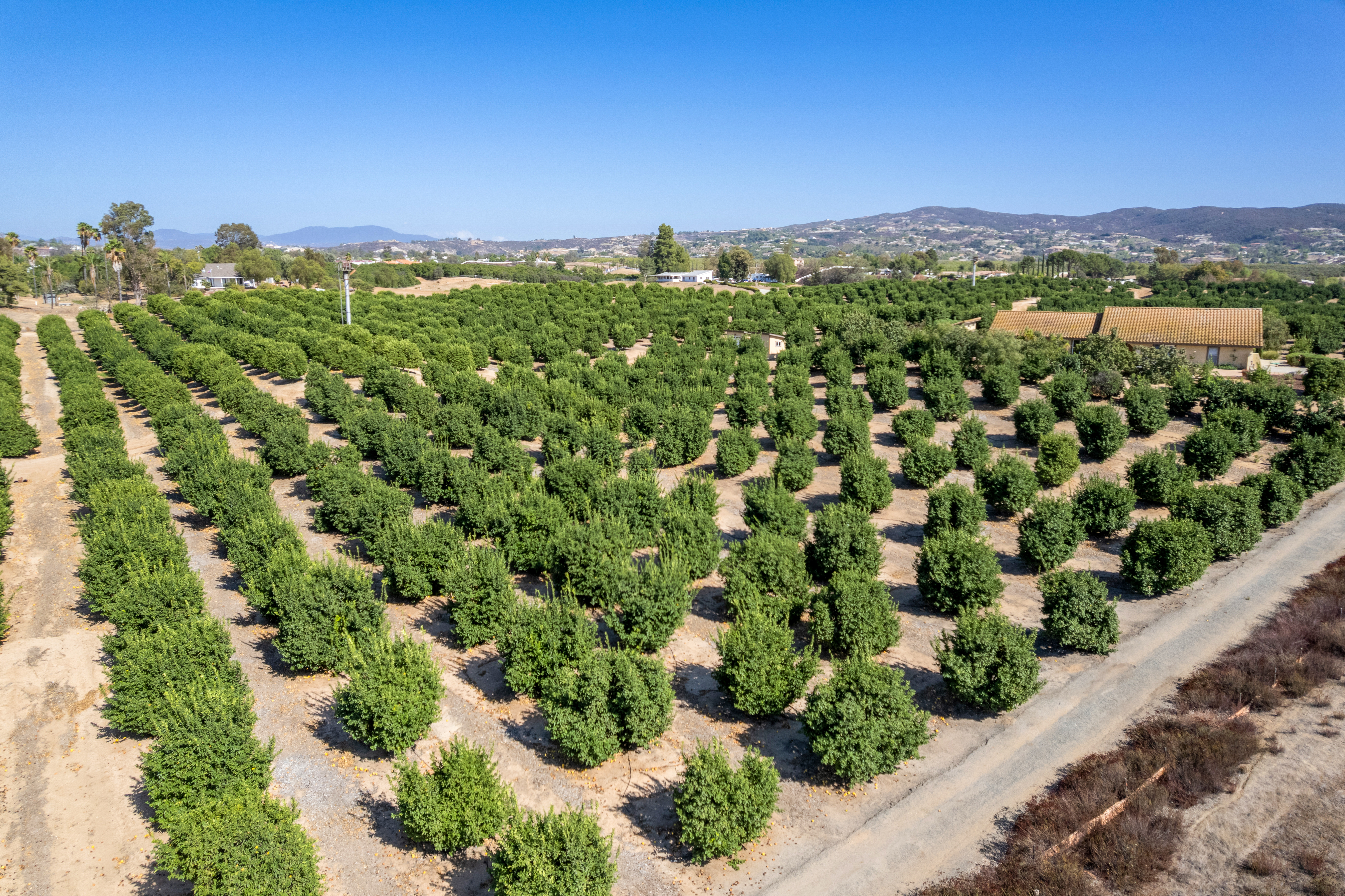  36733 Glenoaks Road, Temecula, CA 92592 - 物件實景