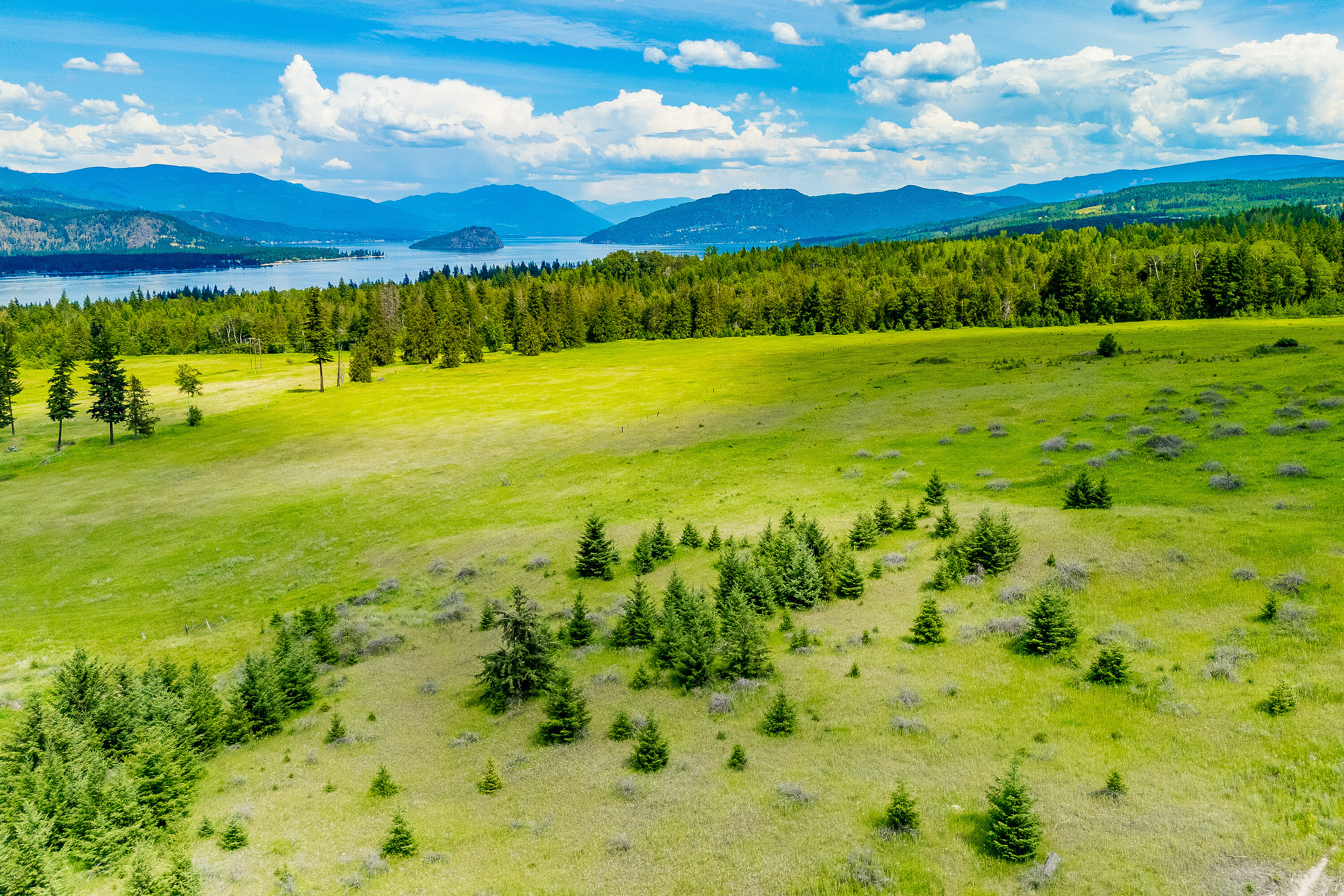  35.237 Acre Parcel in Sorrento - 物件實景
