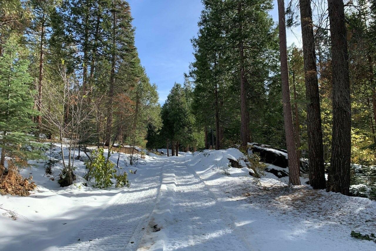 Yosemite, California, 95389, United States, ,Residential,For Sale,1791701