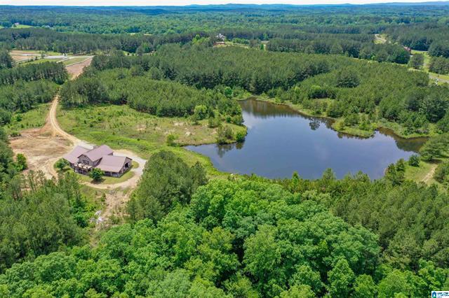 Columbiana, Alabama, 35051, United States, 3 Bedrooms Bedrooms, ,2 BathroomsBathrooms,Residential,For Sale,1975847