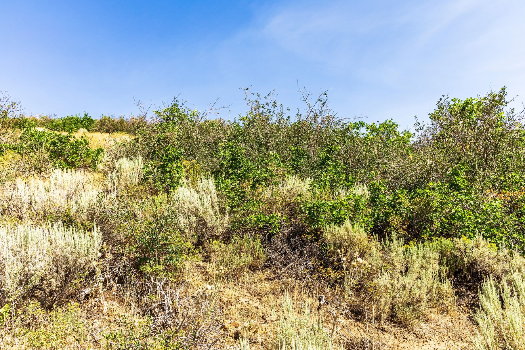  Deer Vista Homesite with Habitations Building Plans and Jaw-Dropping Views - 物件實景