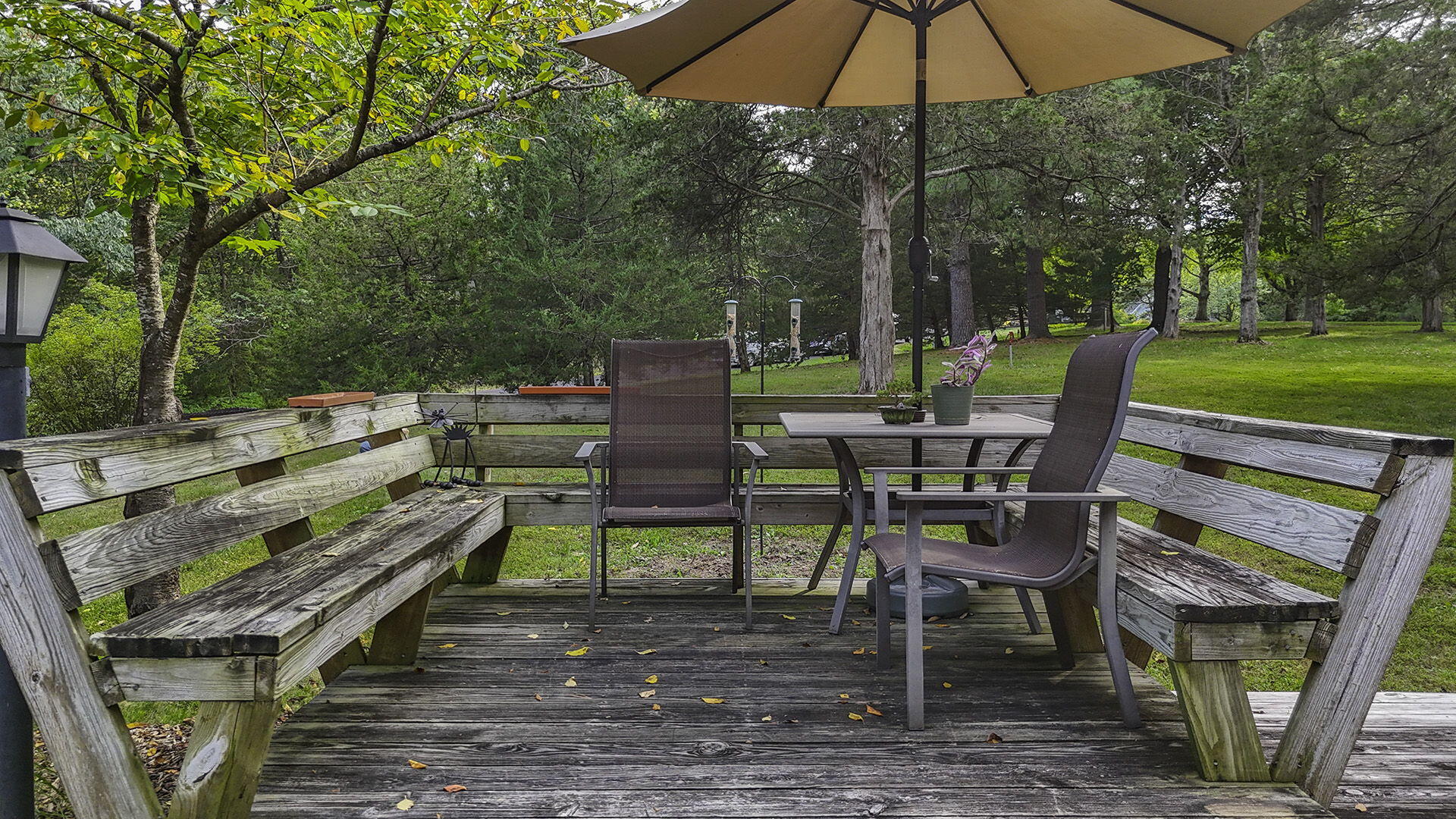 COLUMBIA, Missouri, 65203, United States, 5 Bedrooms Bedrooms, ,3 BathroomsBathrooms,Residential,For Sale,1975322