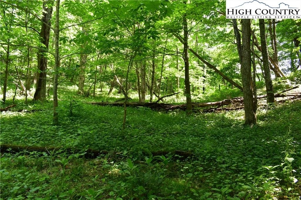 Warrensville, North Carolina, 28693, United States, ,Land,For Sale,1984173