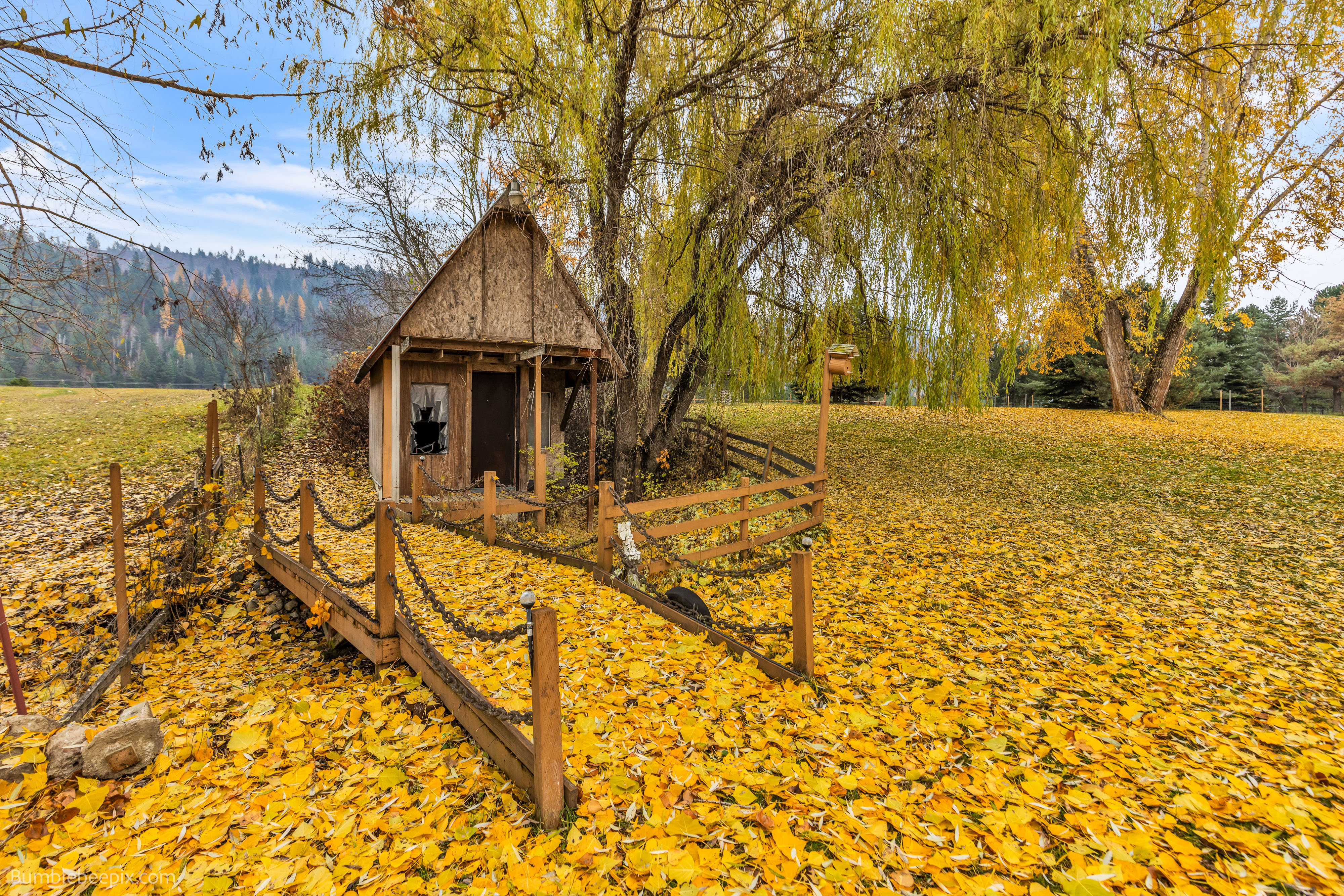 Cusick, Washington, 99119, United States, 4 Bedrooms Bedrooms, ,1 BathroomBathrooms,Residential,For Sale,1988641