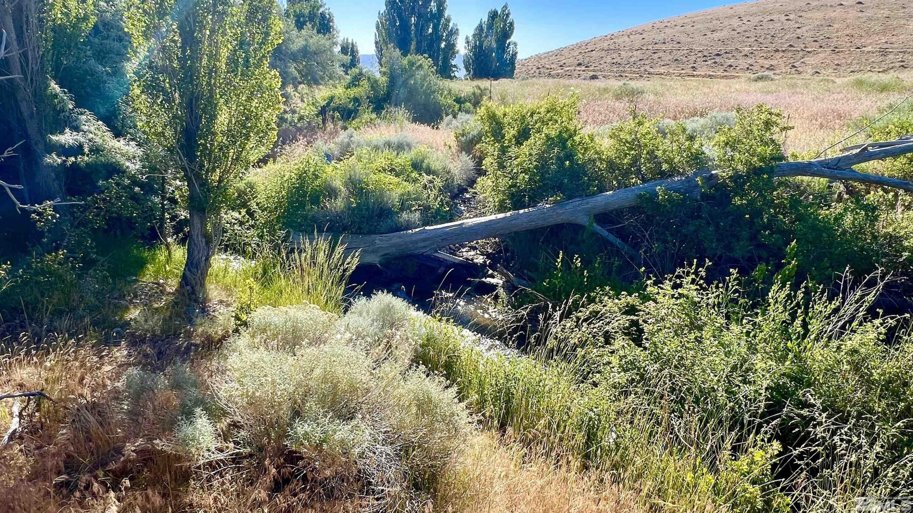 Unionville, Nevada, 89418, United States, 4 Bedrooms Bedrooms, ,2 BathroomsBathrooms,Residential,For Sale,1975232