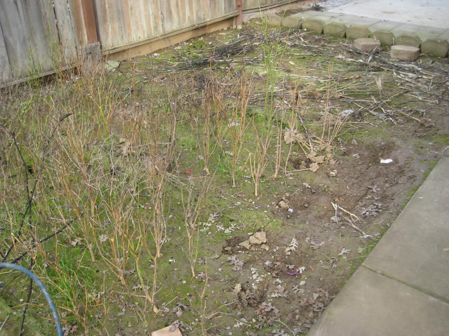 Live Oak, California, 95953, United States, 6 Bedrooms Bedrooms, ,4 BathroomsBathrooms,Residential,For Sale,2012382