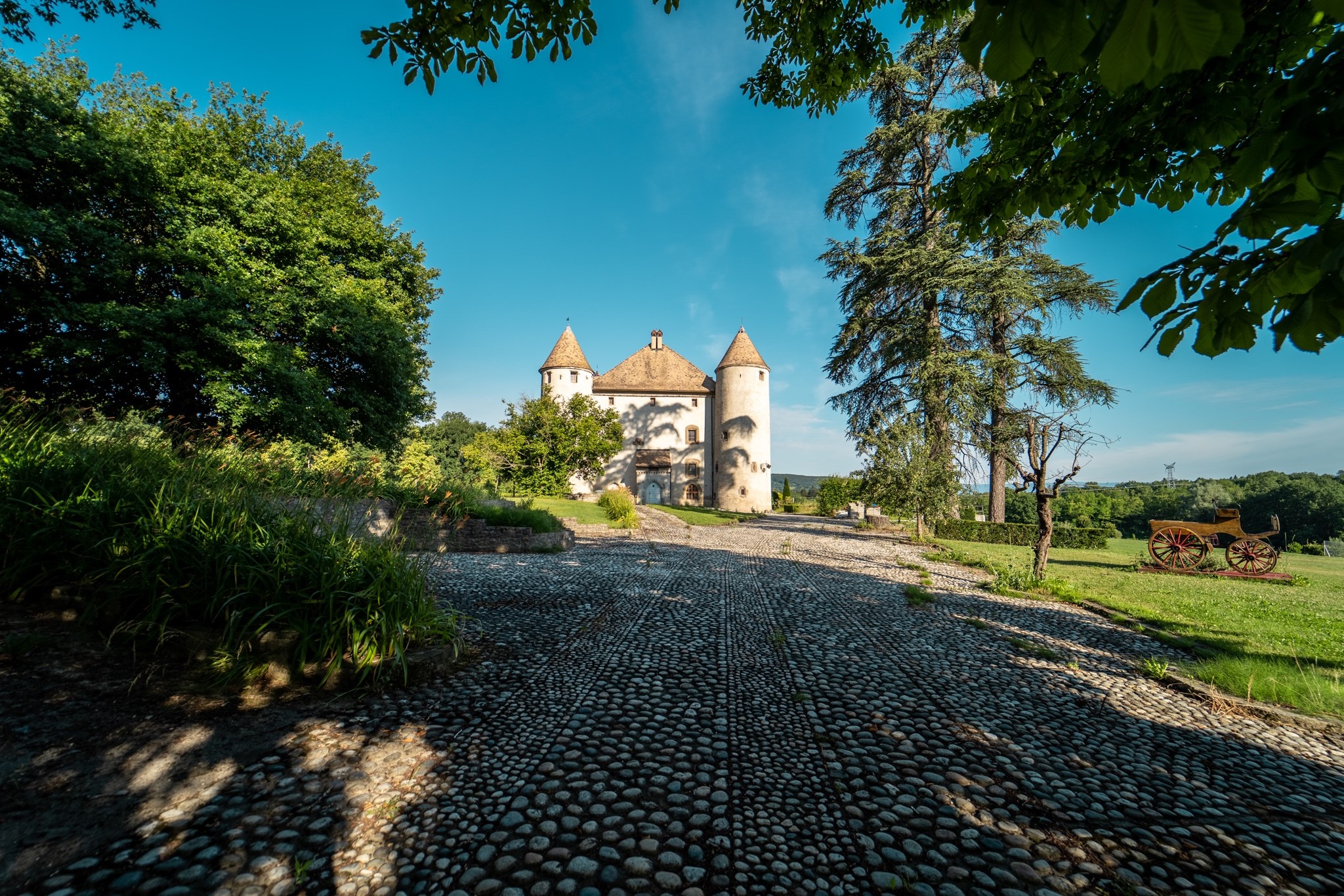  Castle at the Gates of Geneva - 物件實景