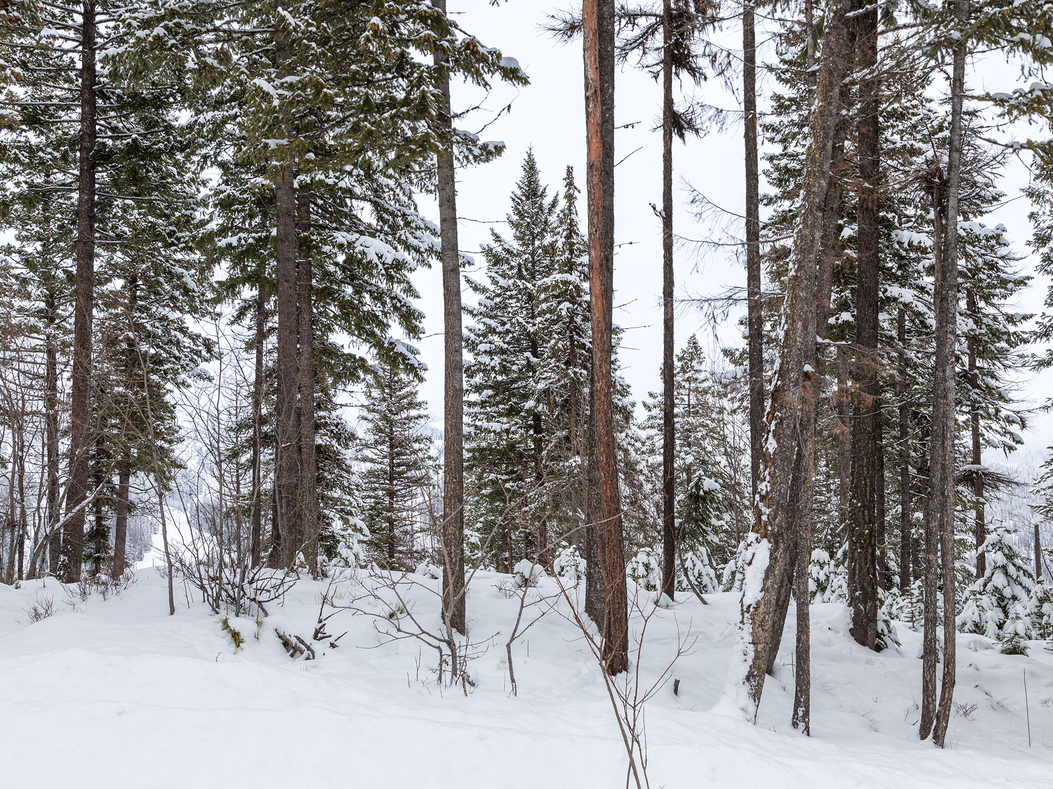  128 Ridge Run Drive - 物件實景