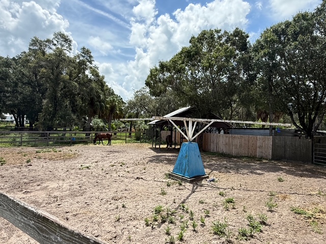 Odessa, Florida, 33556, United States, ,Land,For Sale,1974573