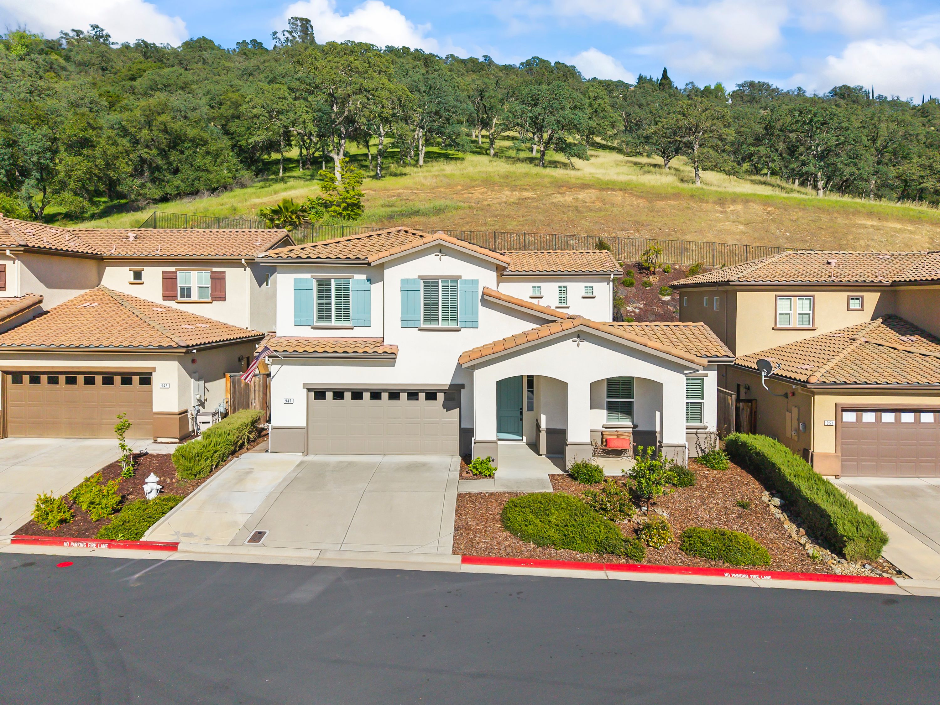  Thoughtful Design Meets Unbeatable El Dorado Hills Location - 物件實景