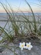 Cape Canaveral, Florida, 32920, United States, 3 Bedrooms Bedrooms, ,2 BathroomsBathrooms,Residential,For Sale,1942154
