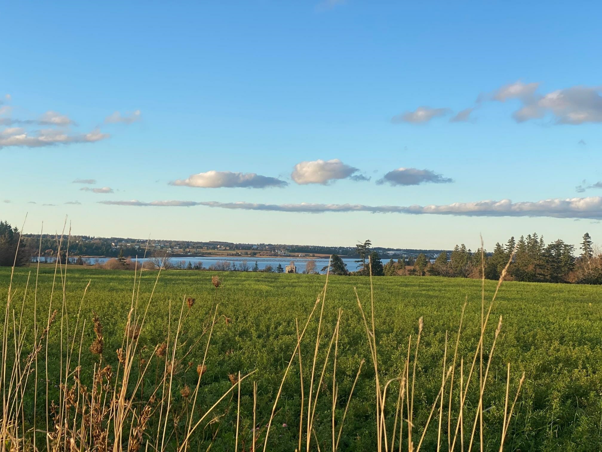 RUSTICO, Prince Edward Island, C0A 1N0, CA, ,Residential,For Sale,1874998