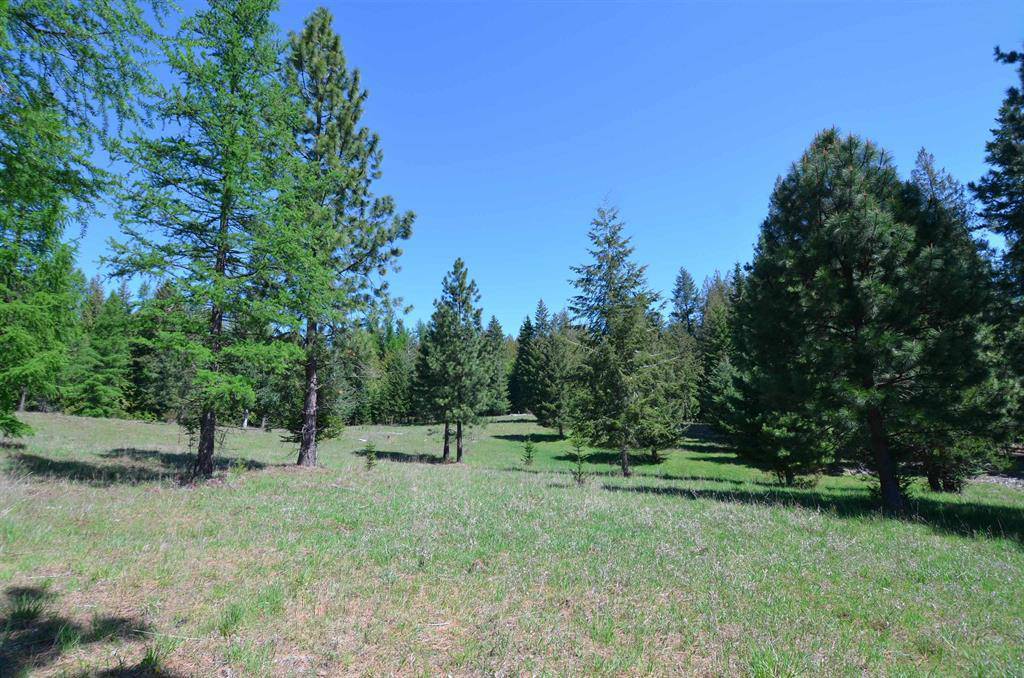 Sagle, Idaho, 83860, United States, ,Land,For Sale,1980438