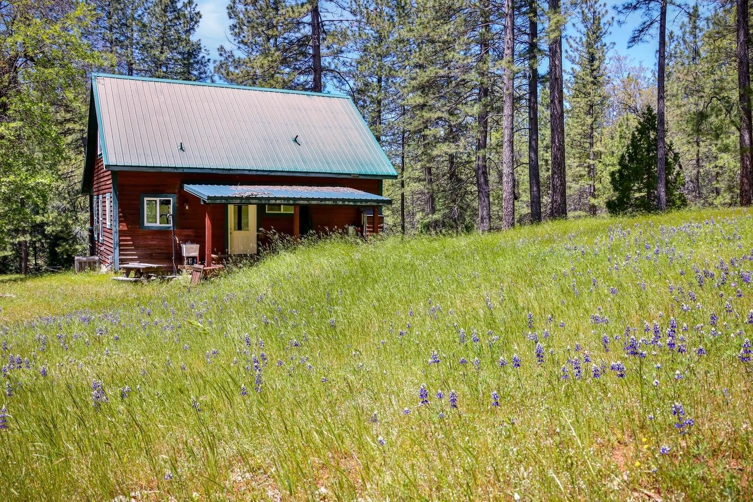 Mountain Ranch, California, 95246, United States, 1 Bedroom Bedrooms, ,1 BathroomBathrooms,Residential,For Sale,1921601