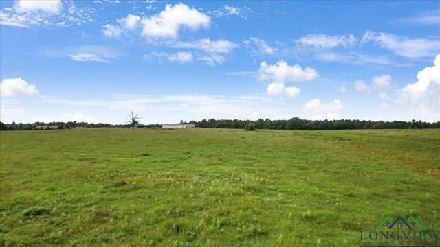 Henderson, Texas, 75654, United States, ,Land,For Sale,1885334