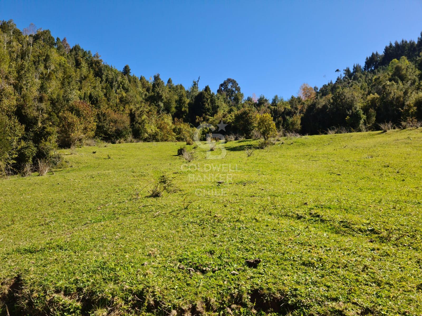 Fresia, Chile, ,Residential,For Sale,1913252