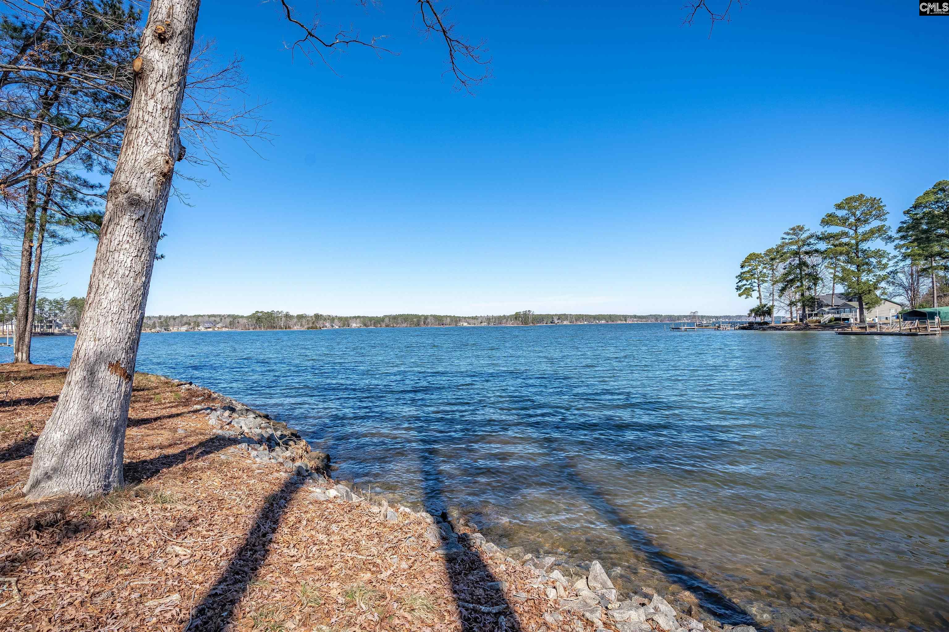 Lexington, South Carolina, 29072, United States, ,Land,For Sale,1709800