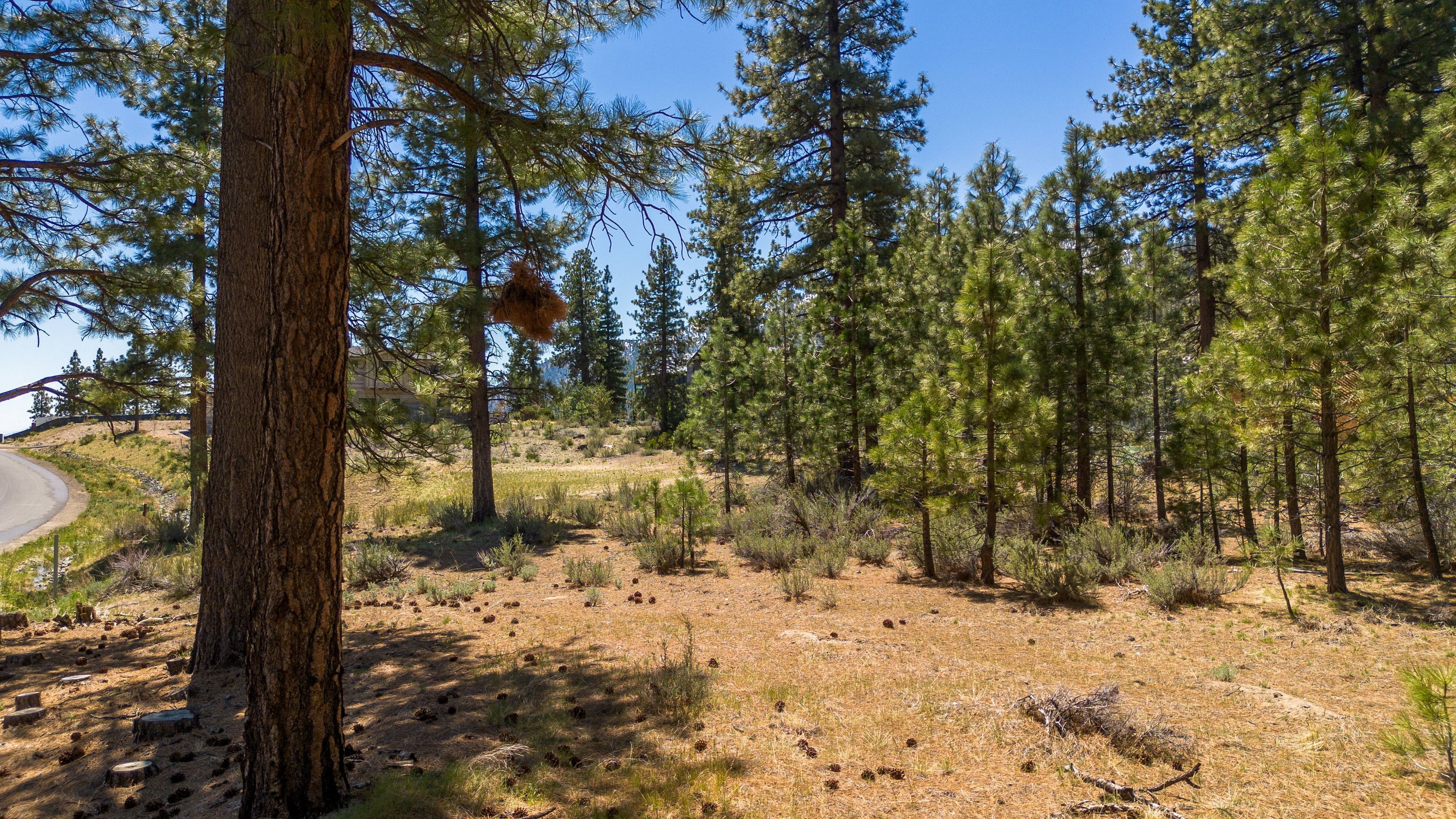  Two Extraordinary Pieces of Land in Clear Creek Tahoe - 物件實景