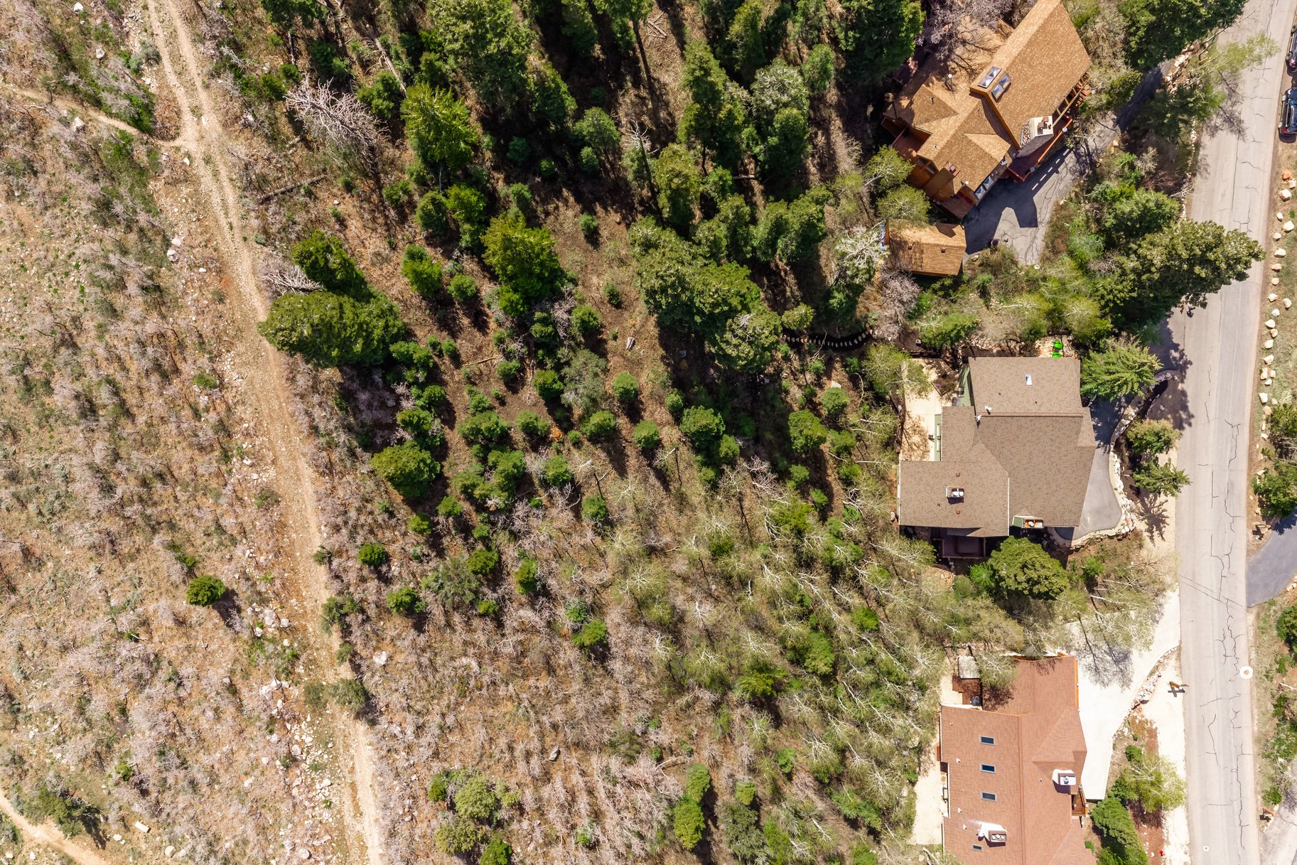  Nature-Inspired Living in the Heart of Park City