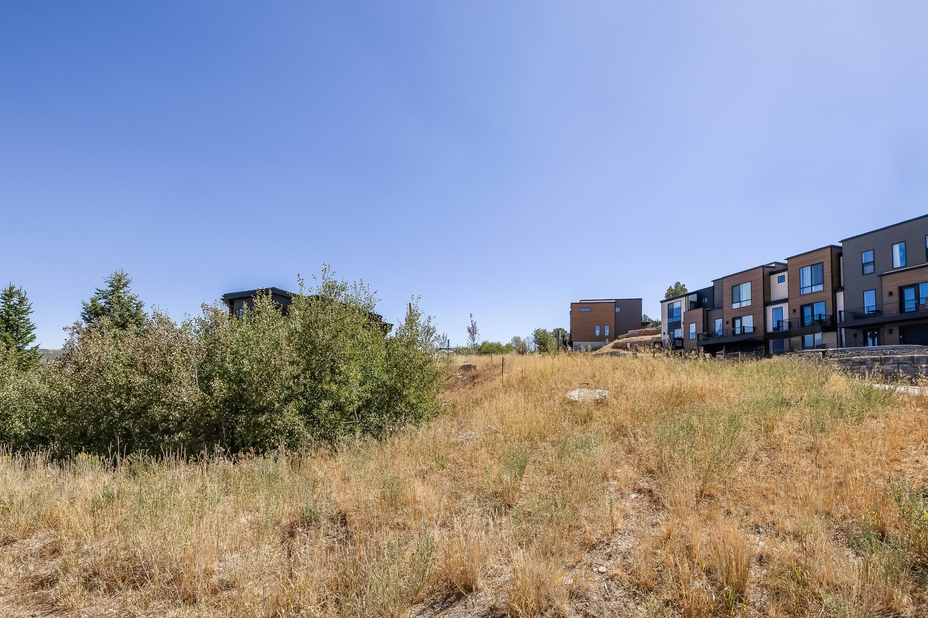  Modern Mountain Living in Discovery Ridge  Toll Canyon Setting - 物件實景