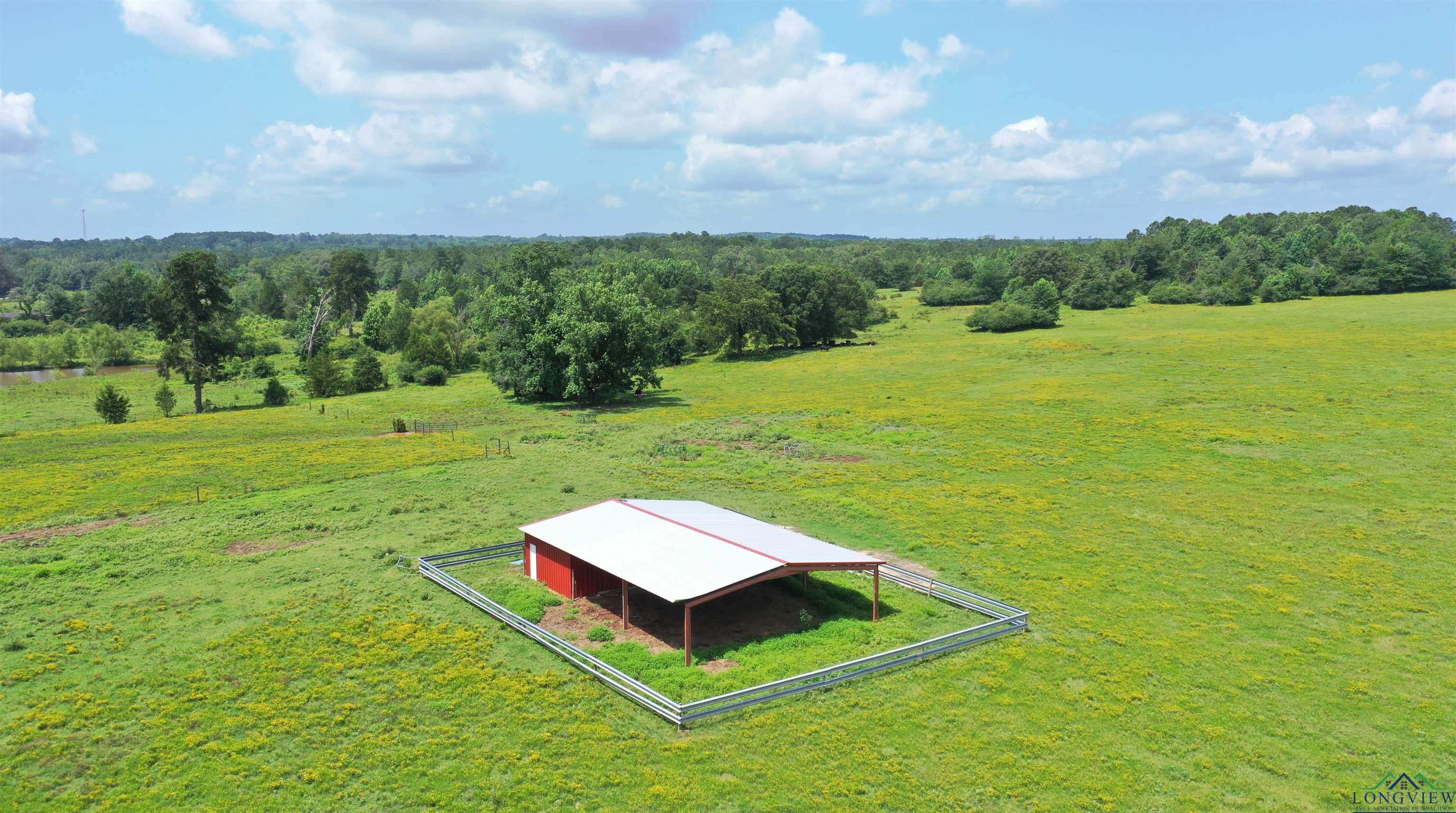 Linden, Texas, 75563, United States, ,Residential,For Sale,1809519