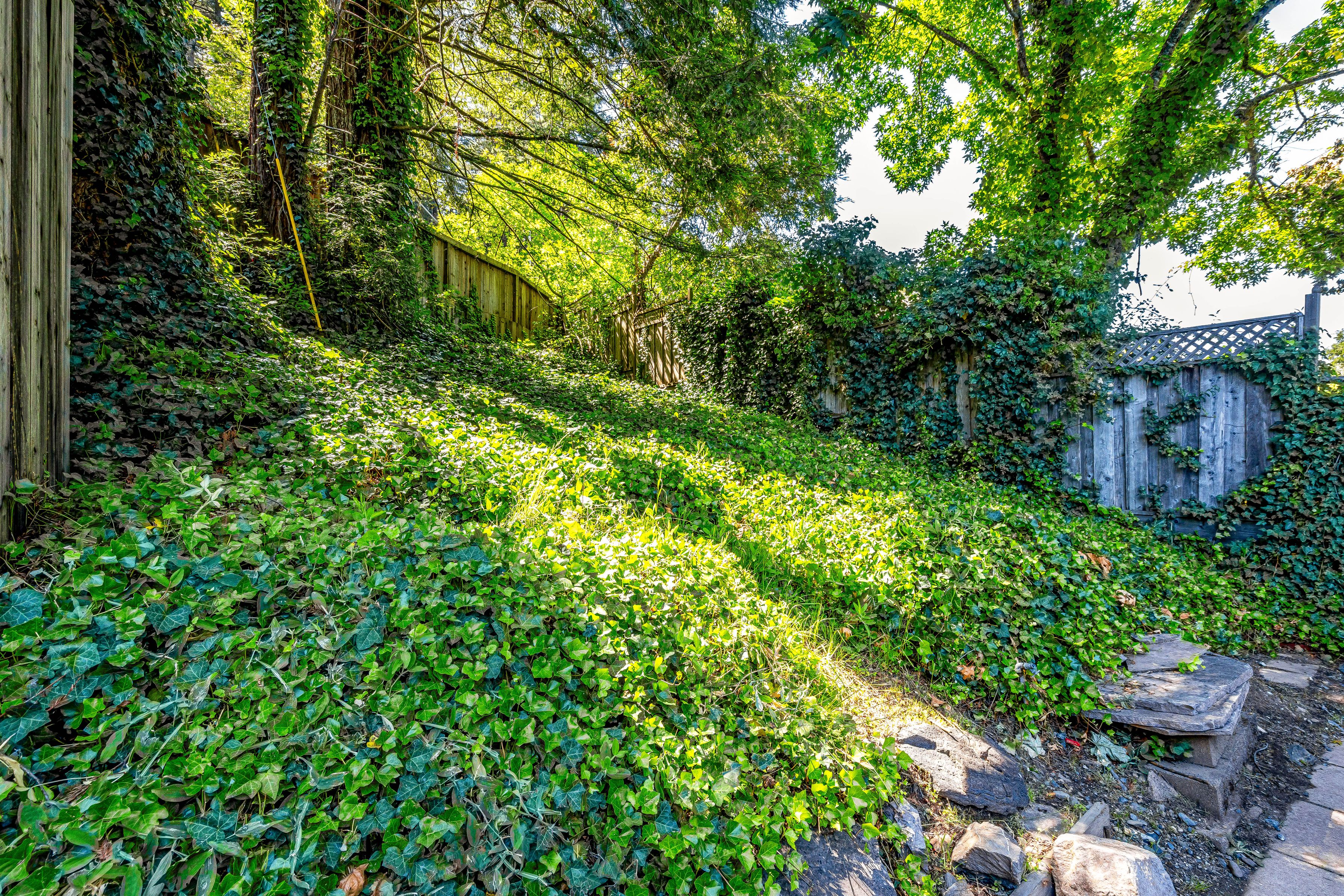  14950 Coleman Valley Road - 物件實景