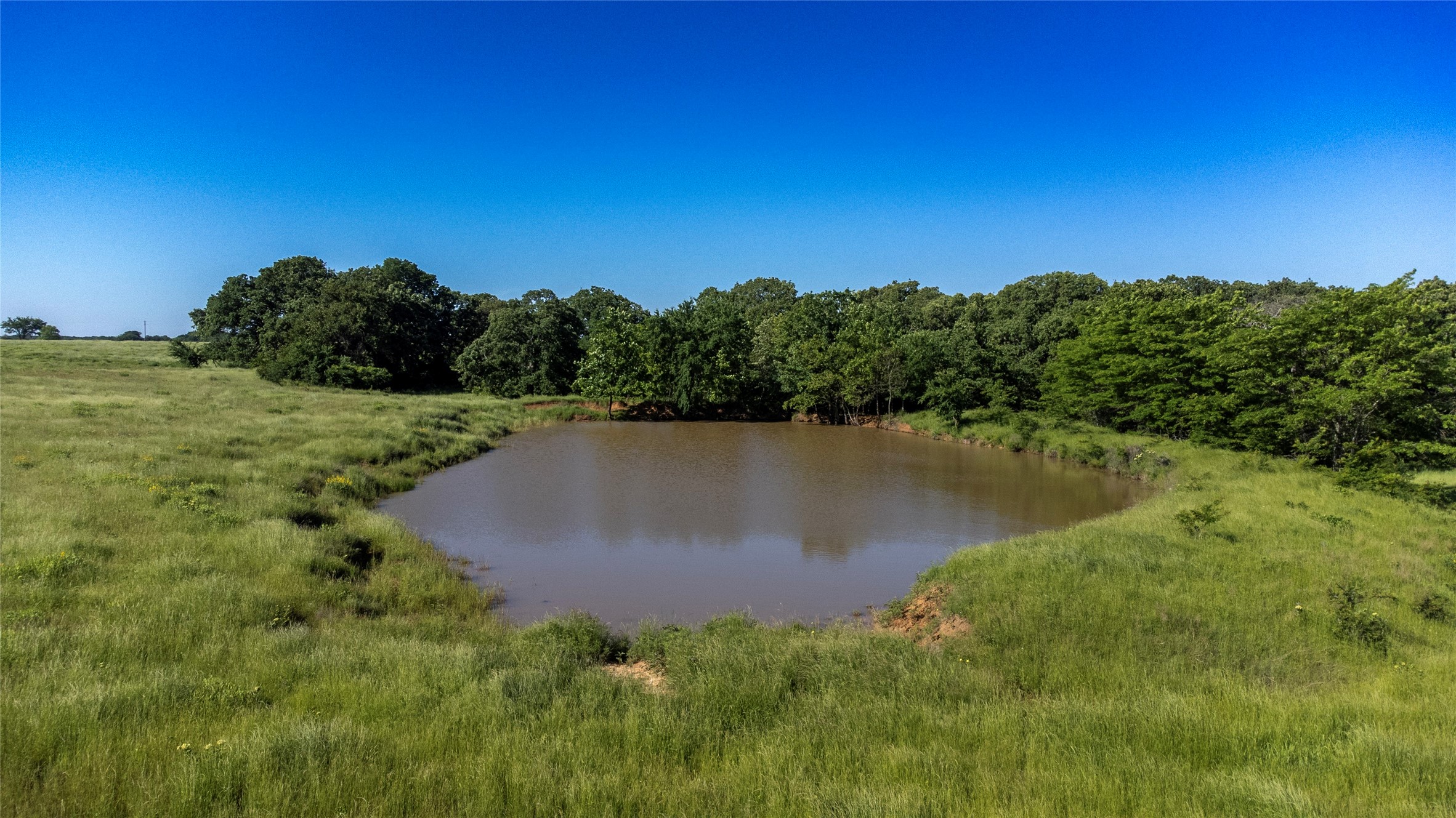 Sadler, Texas, 76264, United States, ,Land,For Sale,1837426