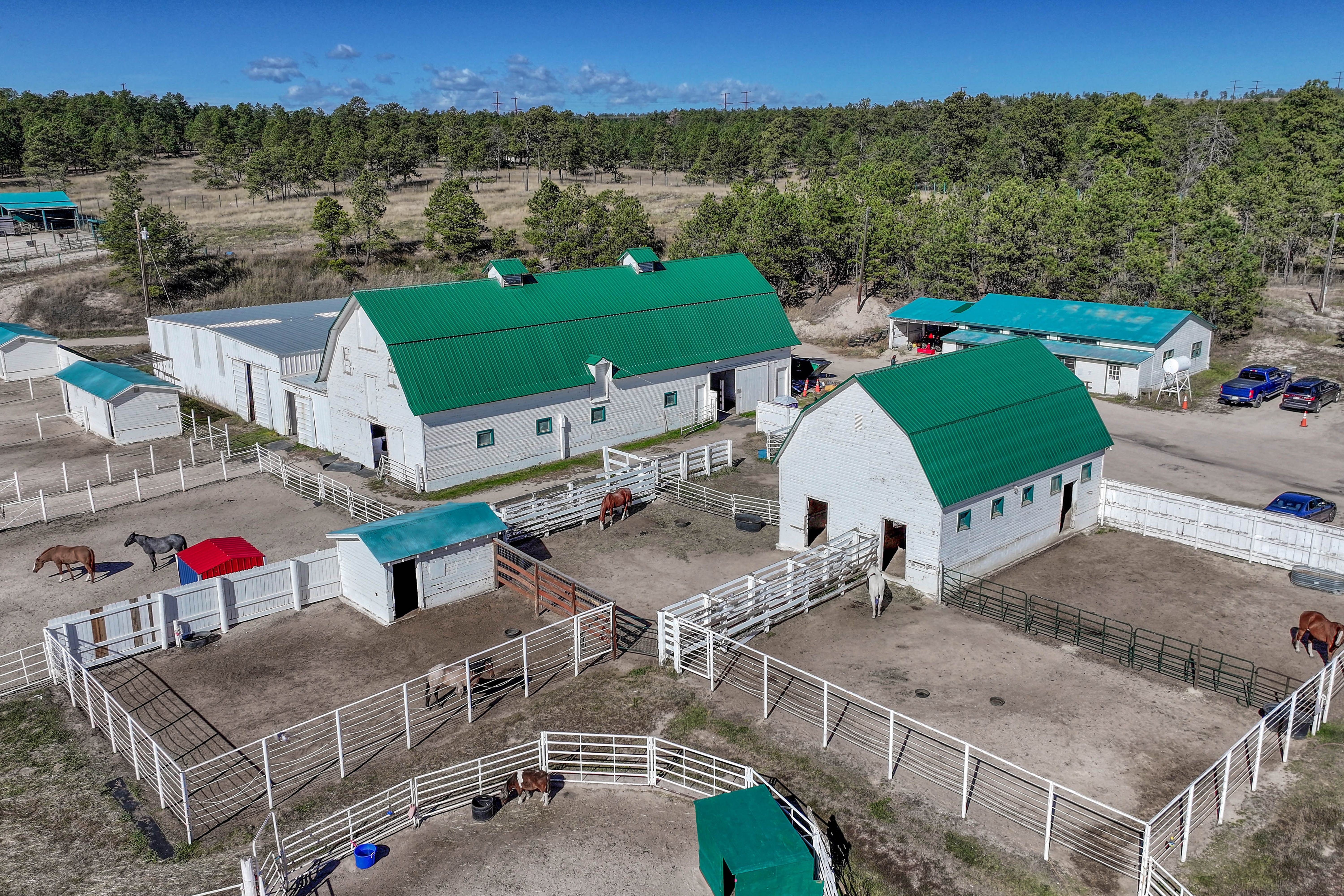  Historic Pine Run Ranch in Black Forest on rare 60 acres - 物件實景