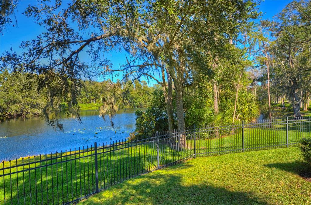 Tampa, Florida, 33625, United States, 3 Bedrooms Bedrooms, ,2 BathroomsBathrooms,Residential,For Sale,1993141