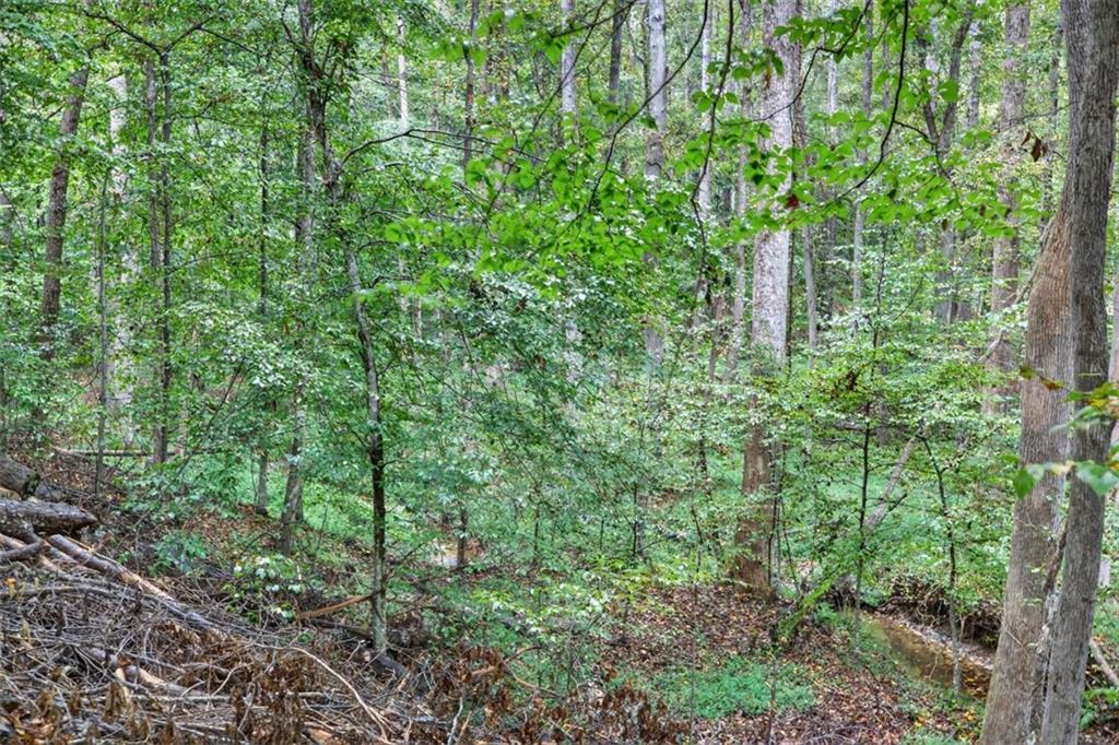 Dacula, Georgia, 30019, United States, 4 Bedrooms Bedrooms, ,4 BathroomsBathrooms,Residential,For Sale,1956860