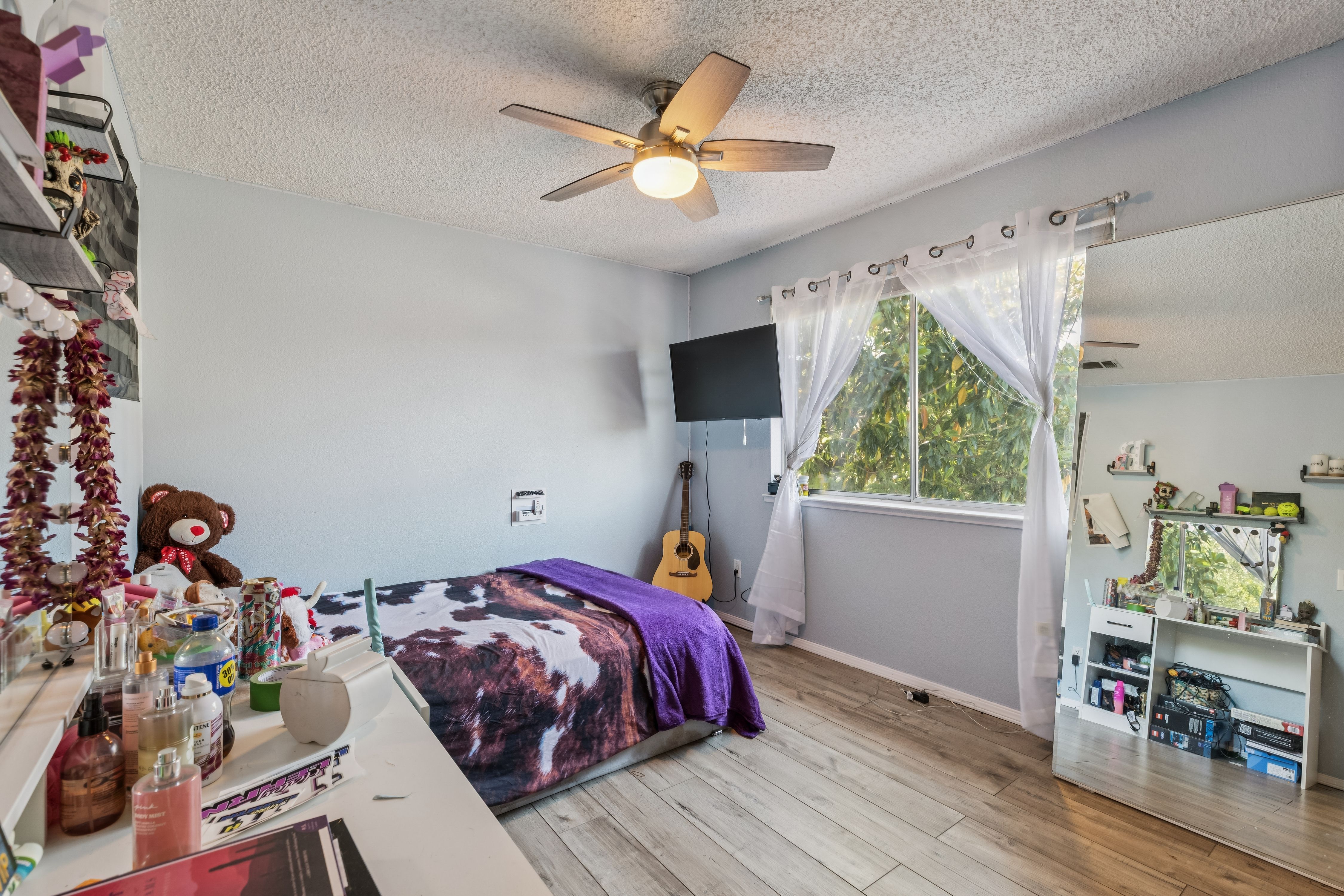  Charming Home in Petaluma