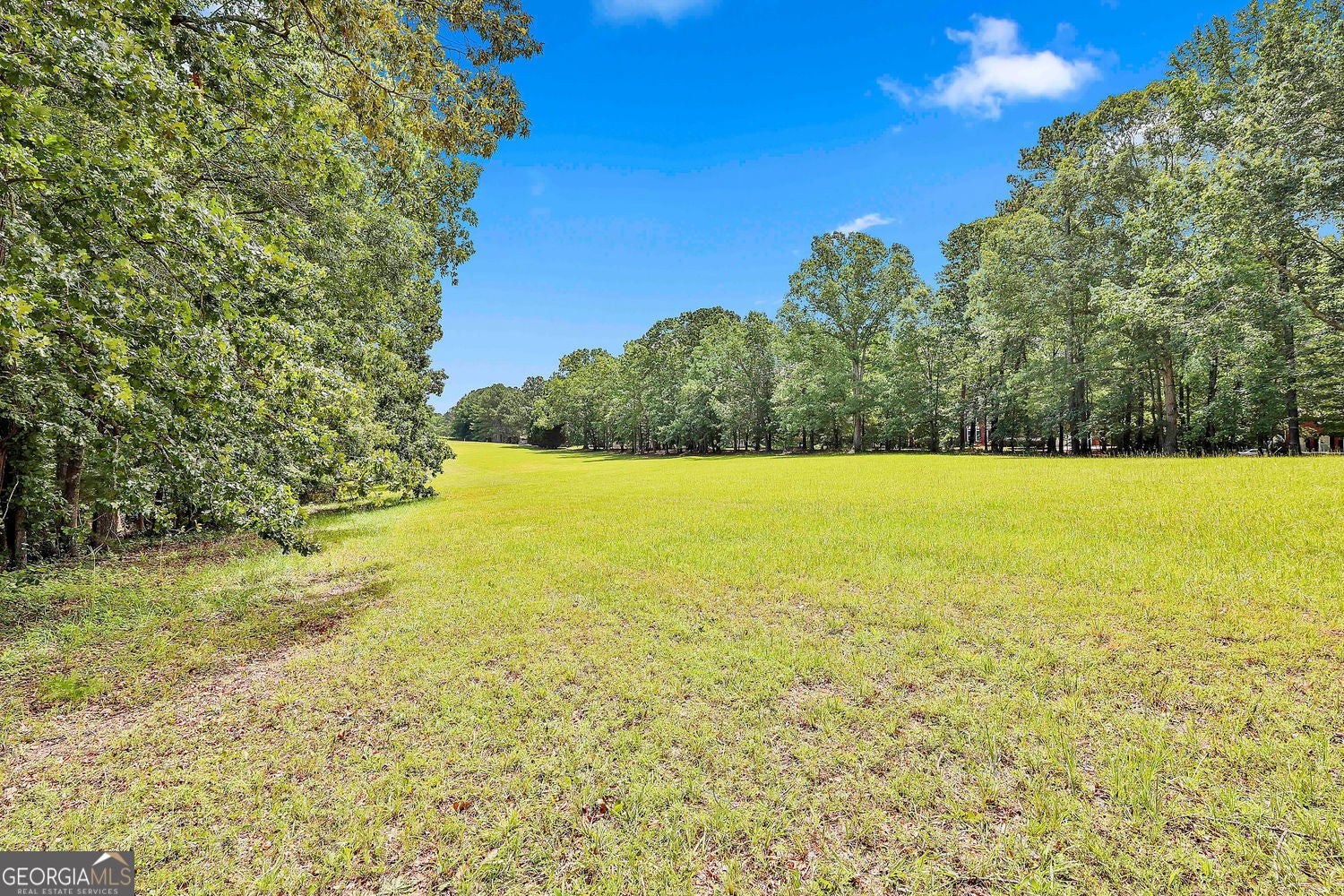 Tyrone, Georgia, 30290, United States, 4 Bedrooms Bedrooms, ,4 BathroomsBathrooms,Residential,For Sale,1922559