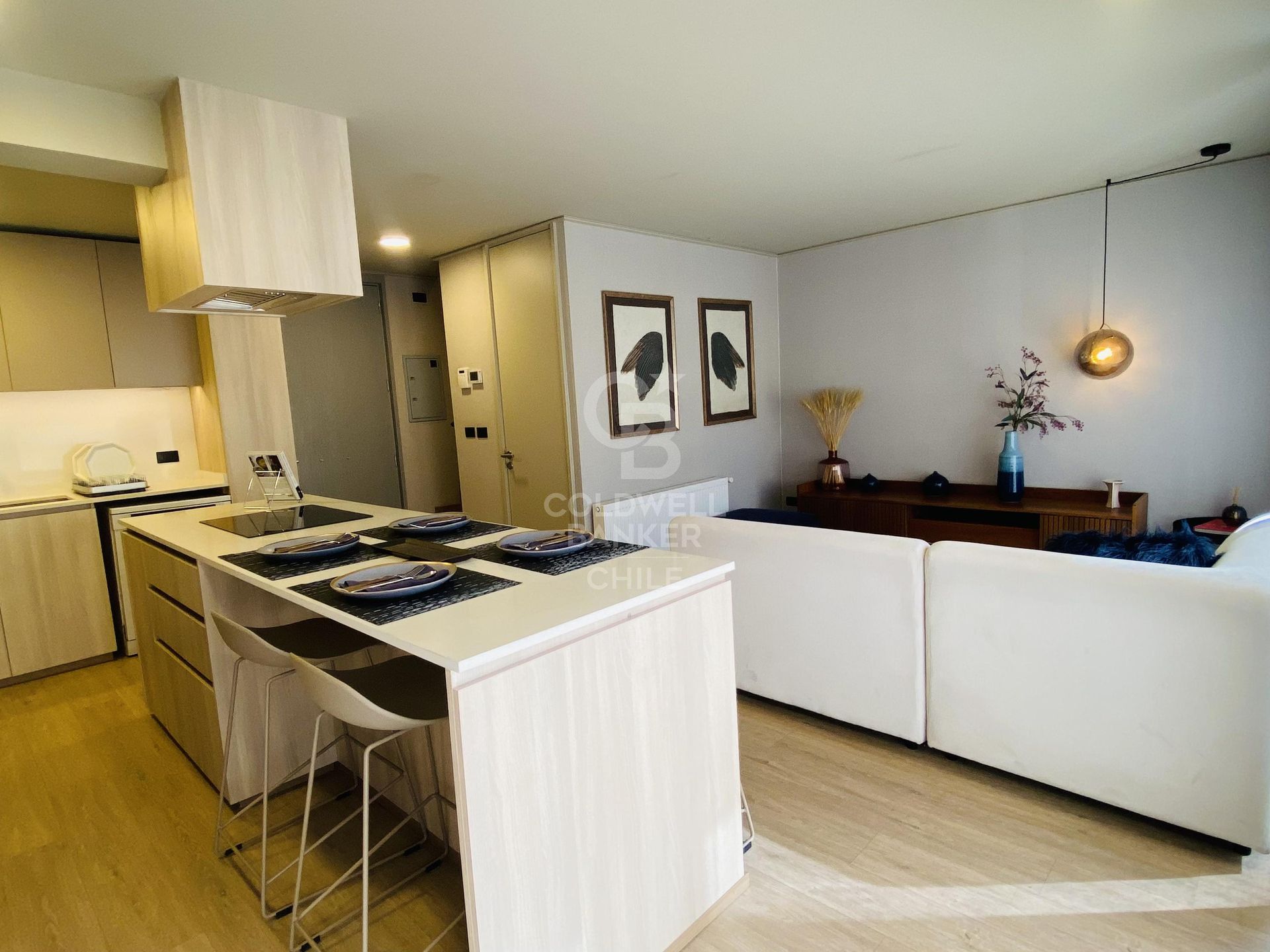 Providencia, Chile, 2 Bedrooms Bedrooms, ,3 BathroomsBathrooms,Residential,For Sale,1752496